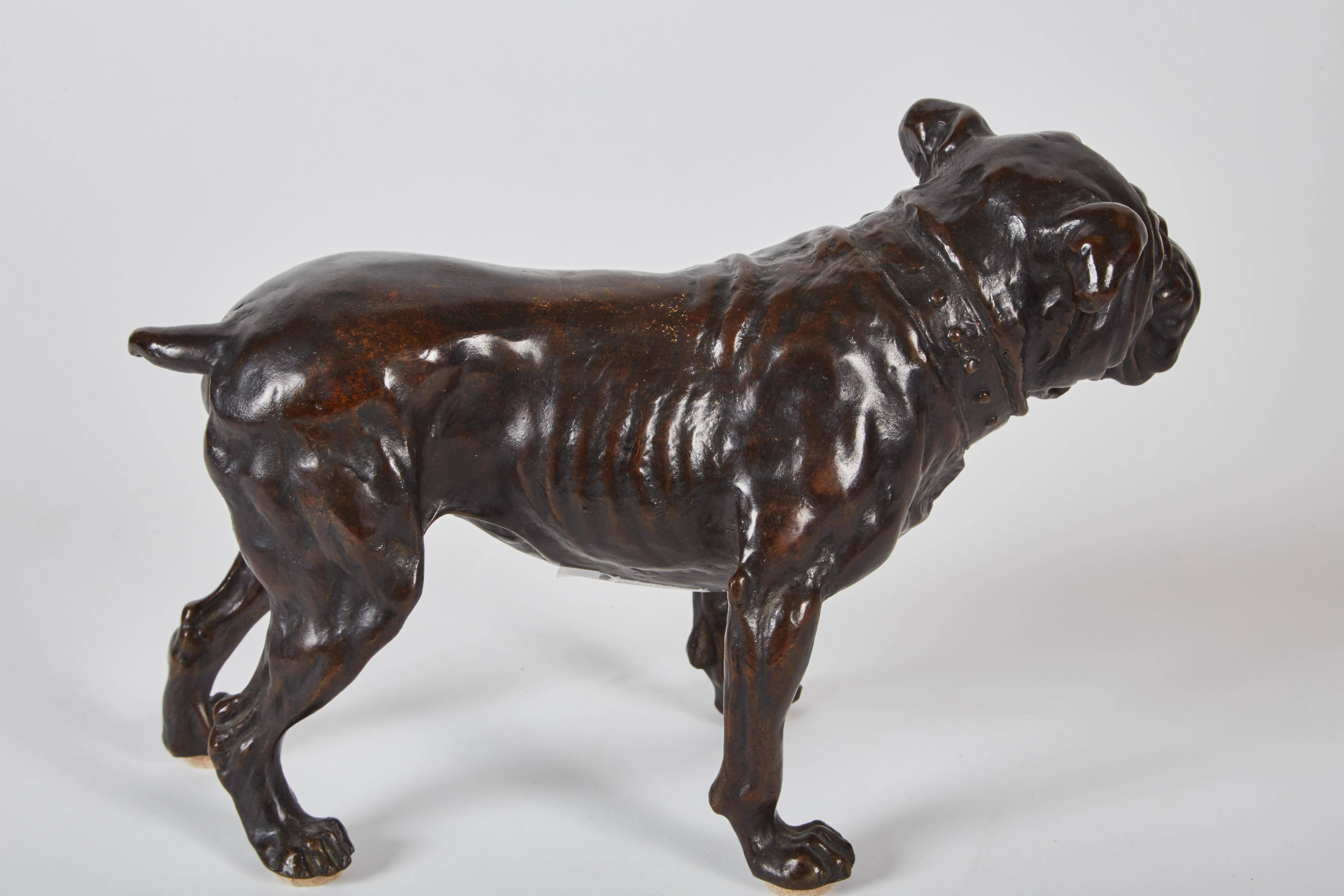 Early 20th Century English Bronze Bulldog  1