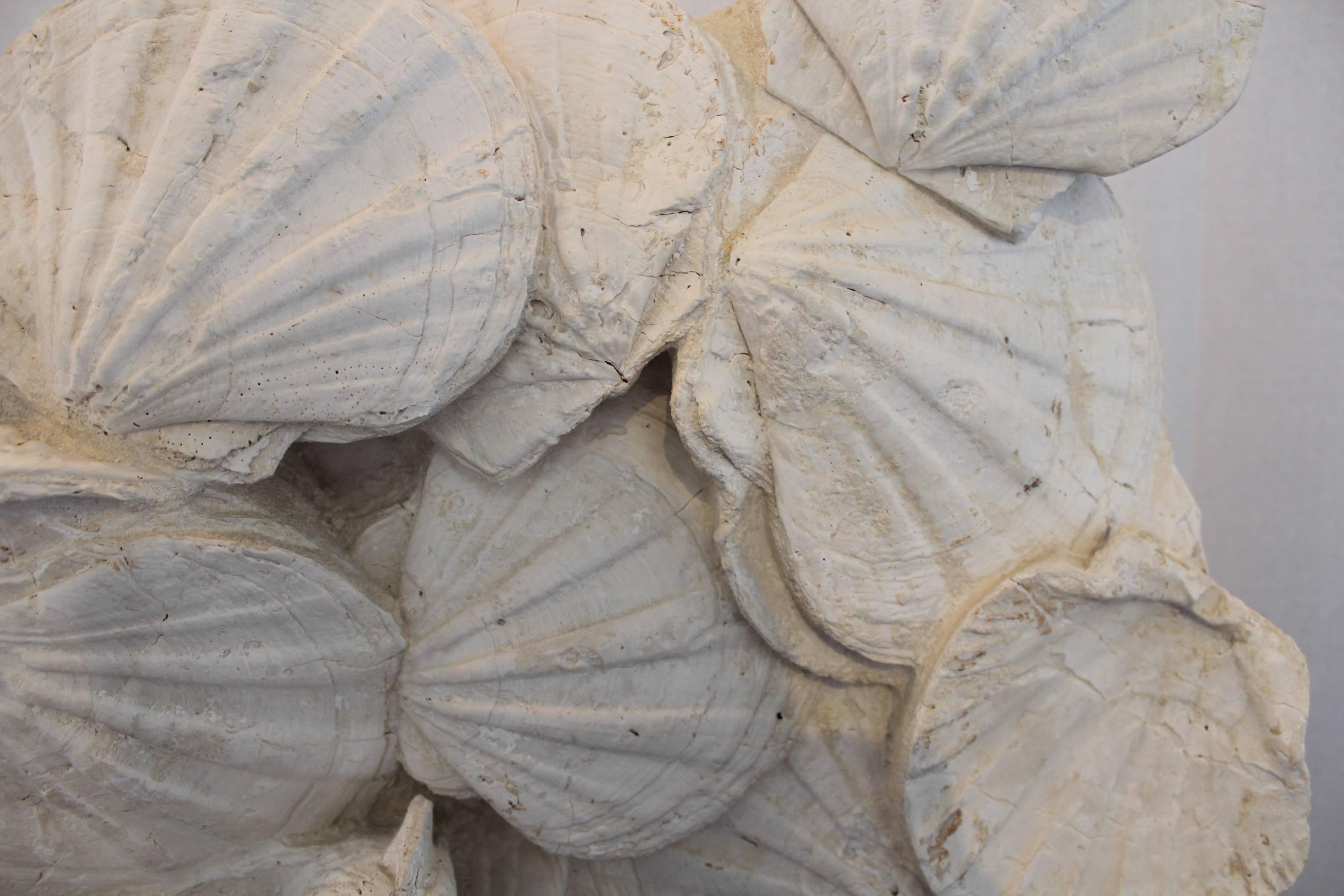 Prehistoric Shell Fossil Specimen Sculpture In Excellent Condition In Dallas, TX
