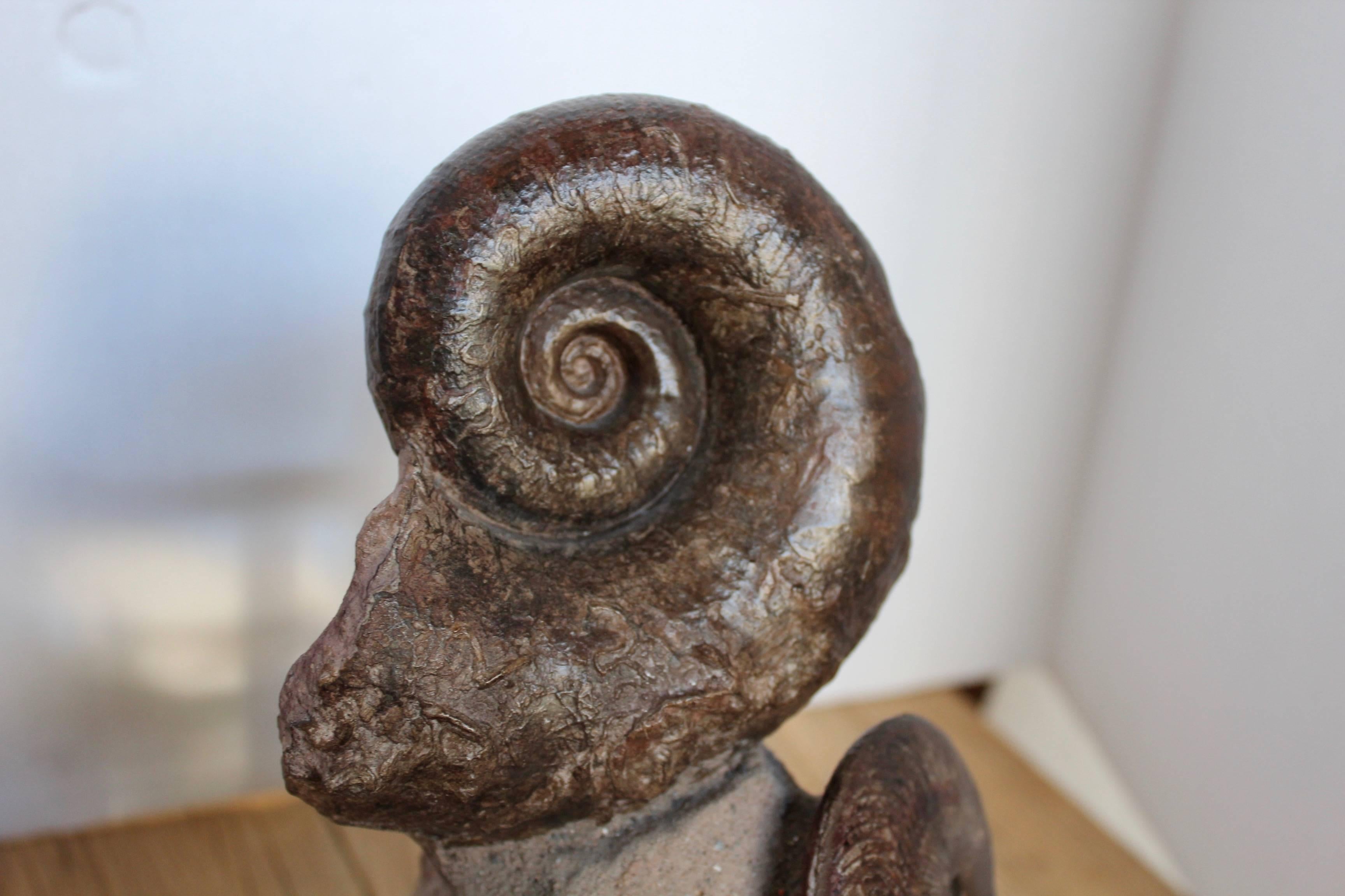 German Prehistoric Fossil Ammonite Decorative Accessory