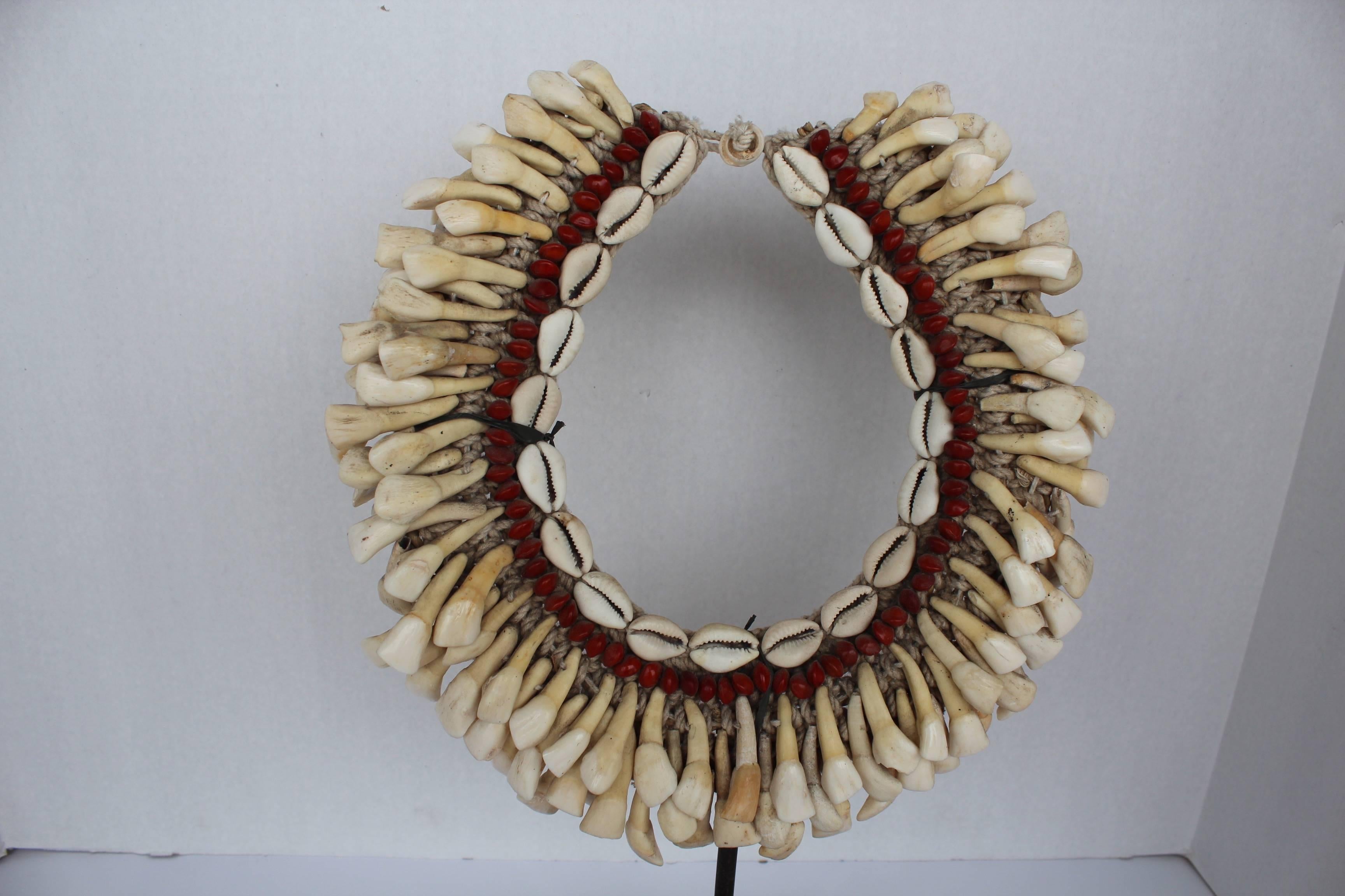 Papua New Guinean Tribal Teeth Necklaces on Stand
