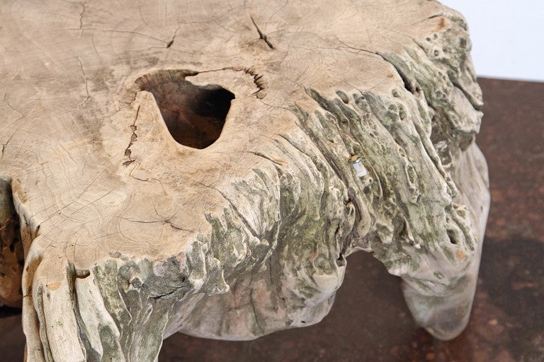 Naturally Bleached Teak End Table 1