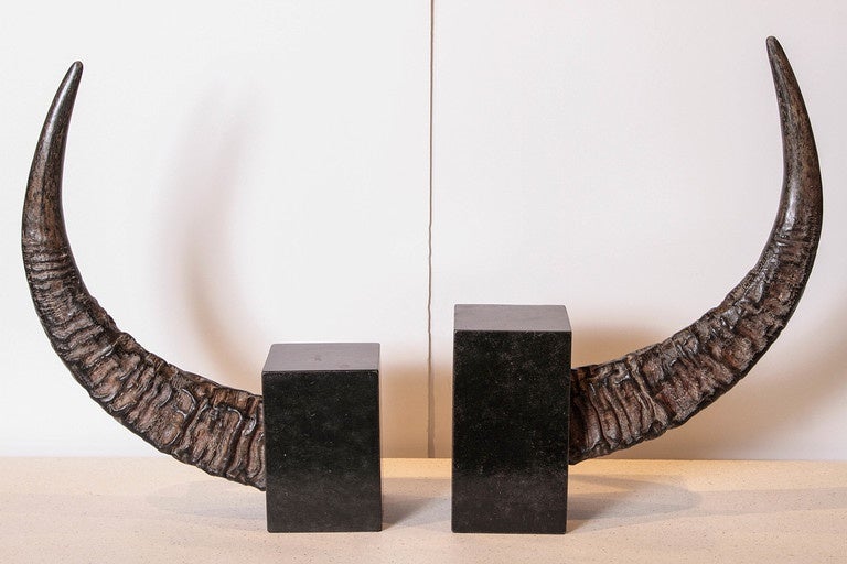 Water Buffalo Horns Decor