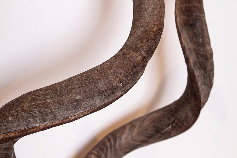 Kudu Horns Decor In Excellent Condition In Dallas, TX