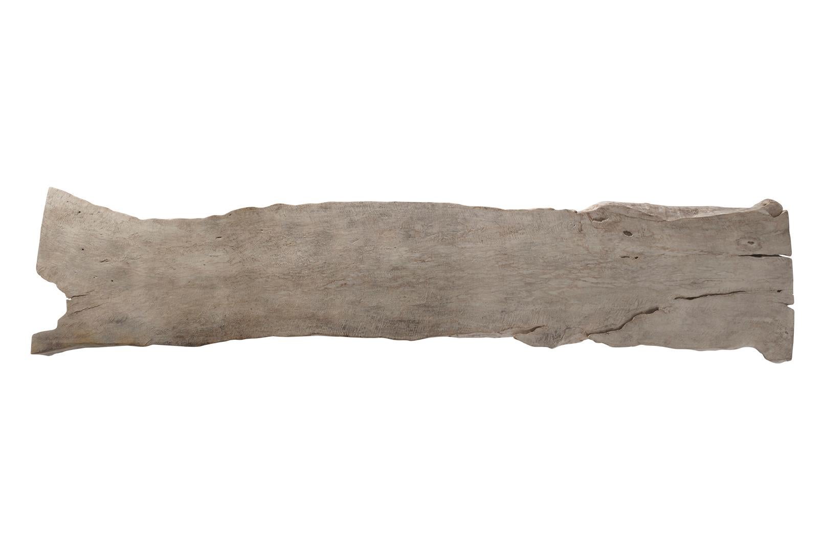 Bleached Organic Form Lychee Wood Slab on Patinated Steel Base In Good Condition For Sale In Dallas, TX