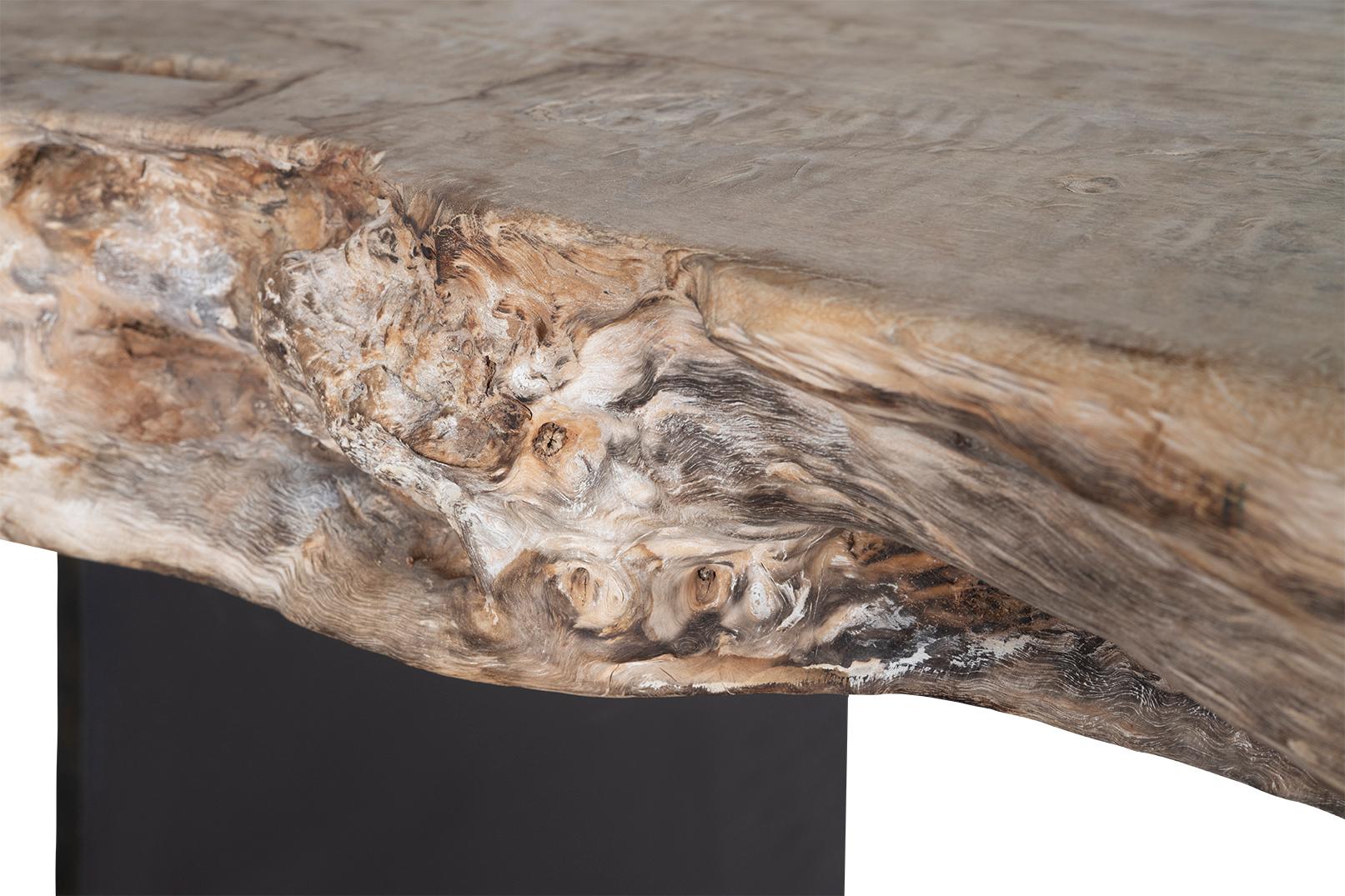 Bleached Organic Form Lychee Wood Slab on Patinated Steel Base For Sale 5
