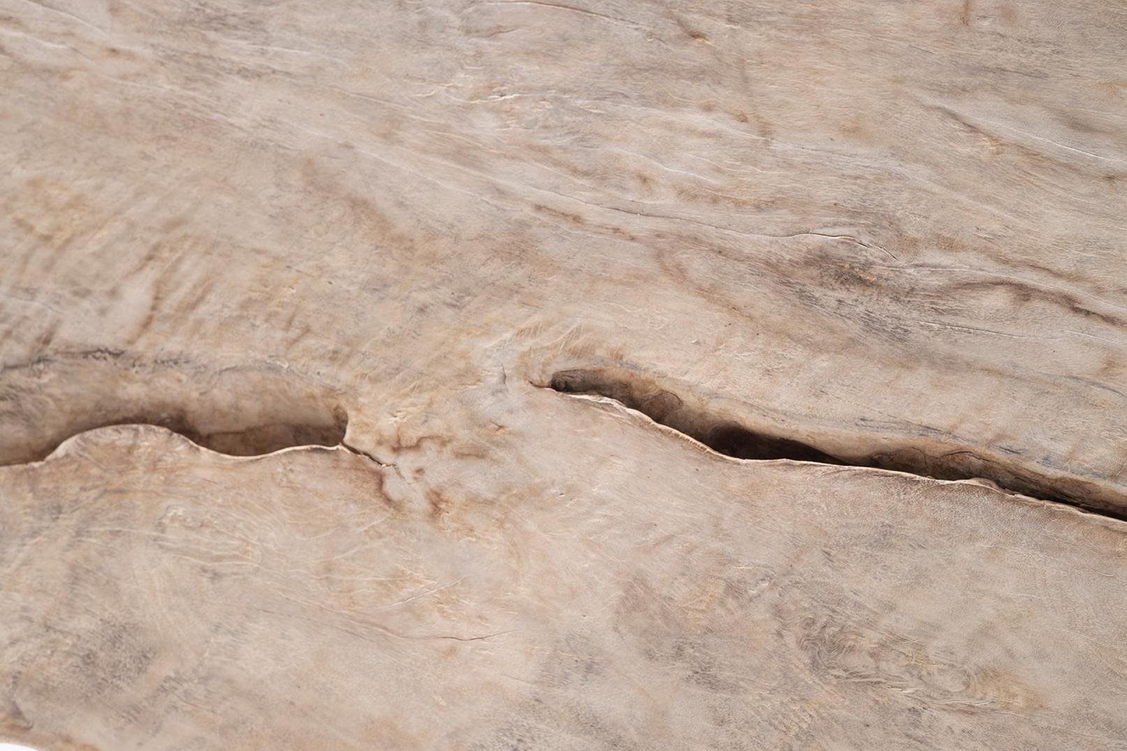 Bleached Organic Form Lychee Wood Slab on Patinated Steel Base For Sale 8