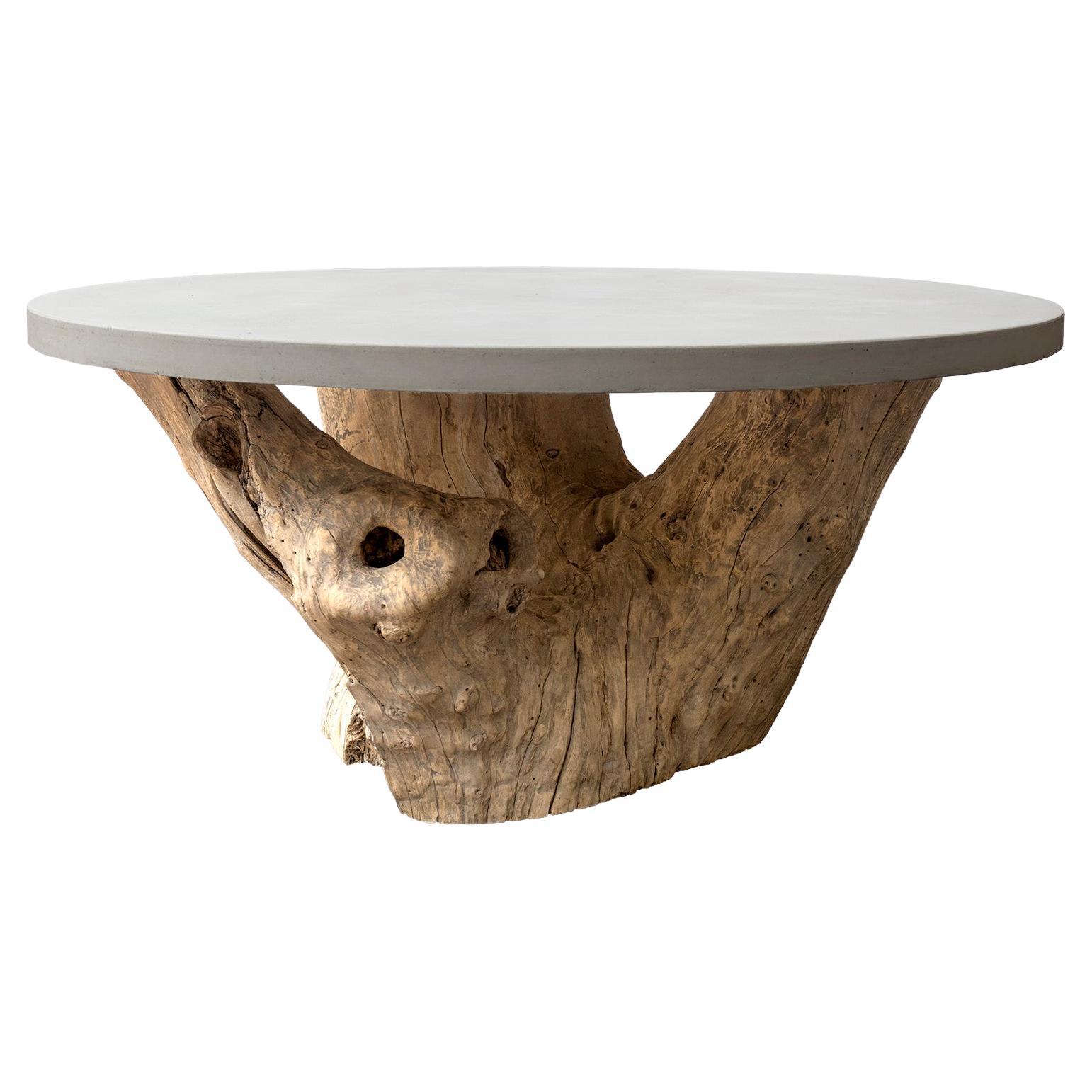 Mesa de Comedor con Base de Forma Orgánica de Madera de Teca y Tapa de Cemento Fundido