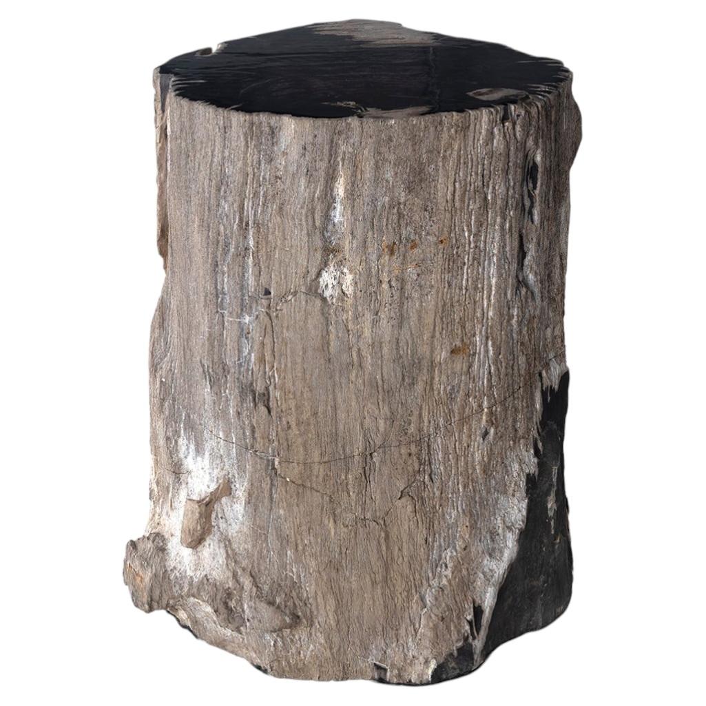 Beistelltisch aus versteinertem Holzstamm im Angebot