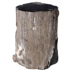 Table d'appoint en bois pétrifié