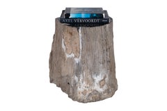 Petrified Wood Trunk Side Table