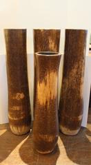 Organic Coconut Vases