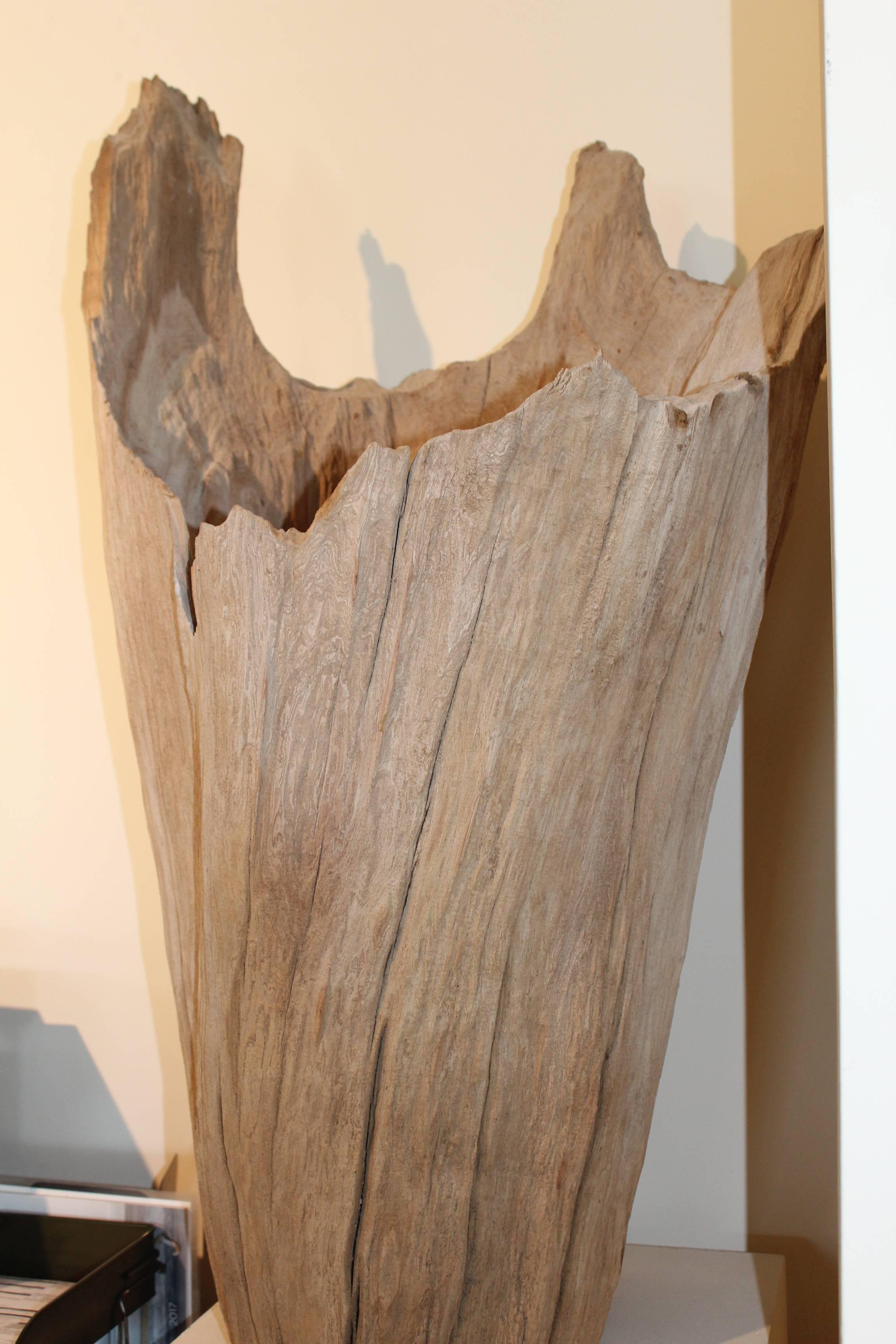 Organic Driftwood as Sculpture In Excellent Condition In Dallas, TX