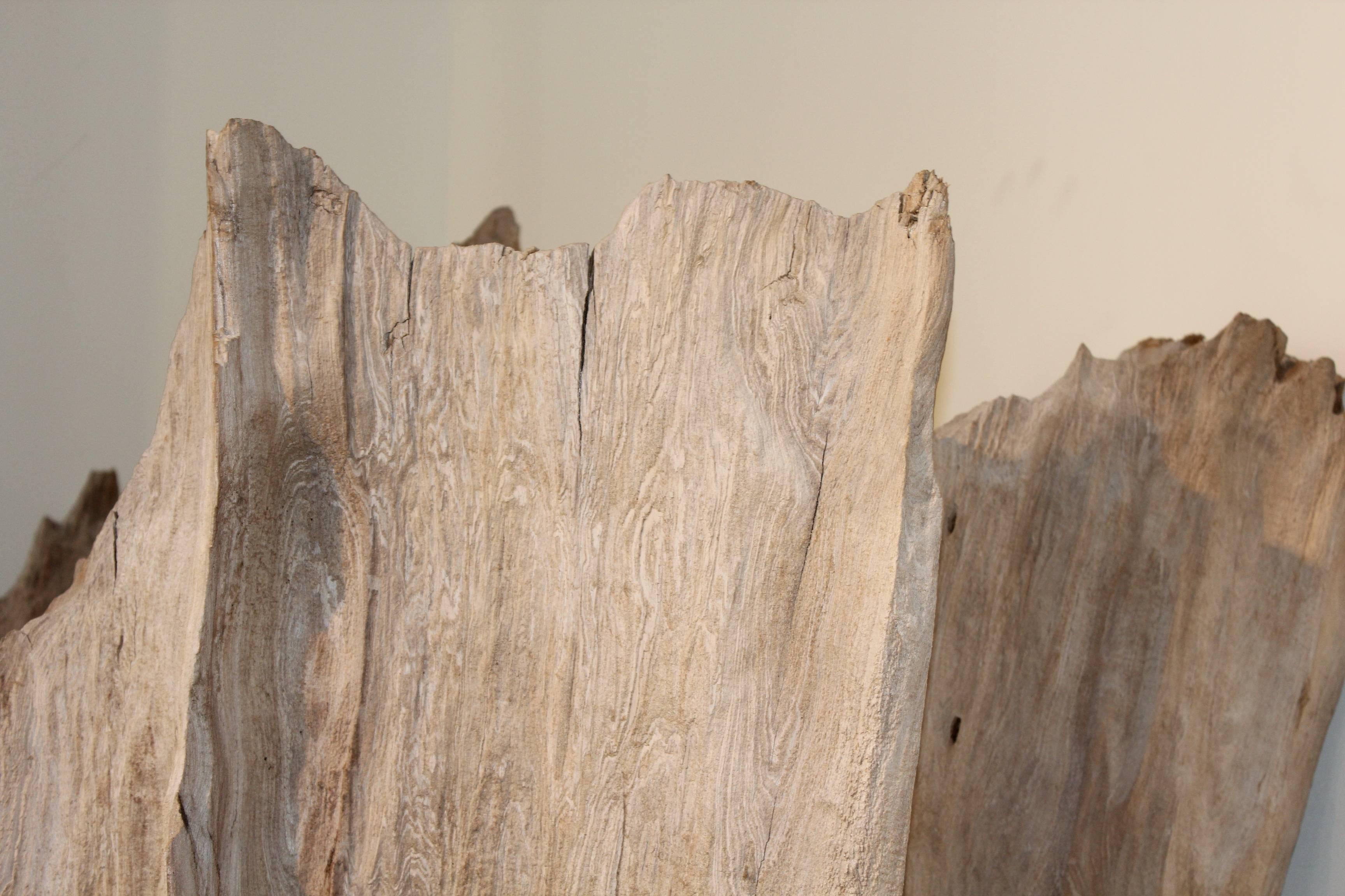 Organic driftwood as sculpture.
