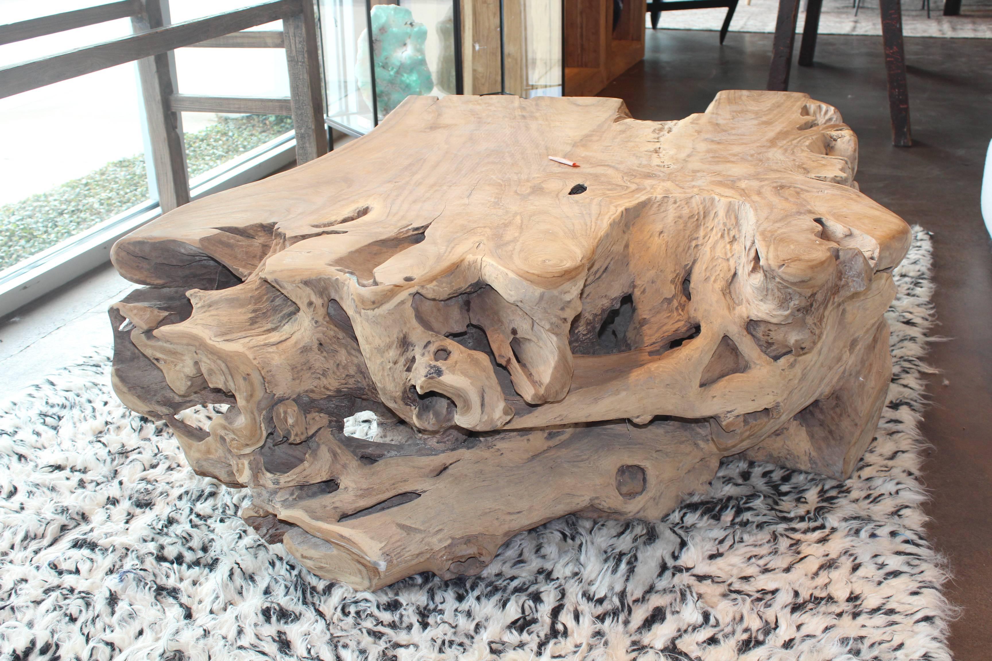 Sculpted Teak Root Wood Coffee Table In Excellent Condition In Dallas, TX