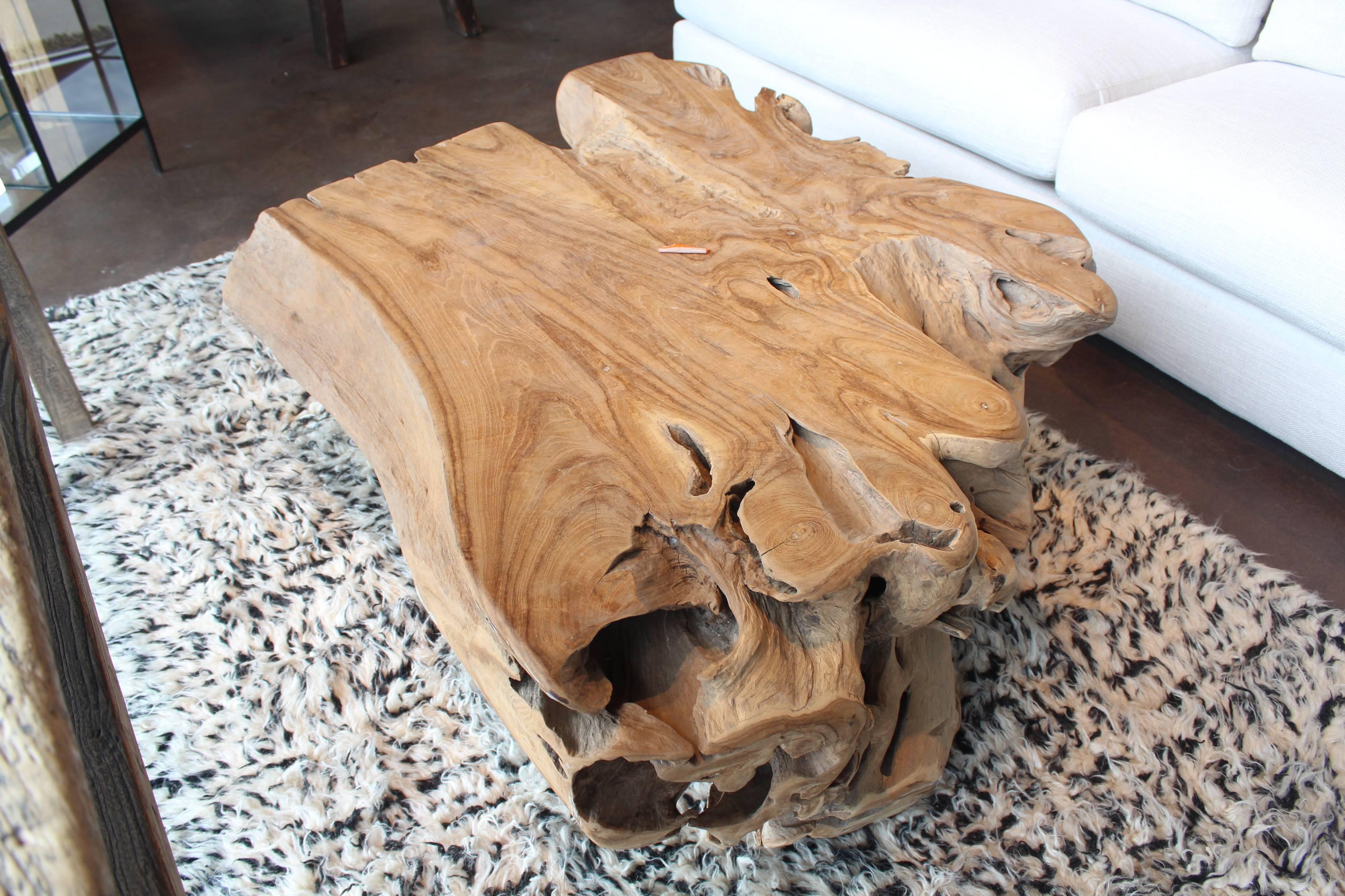 Southeast Asian Sculpted Teak Root Wood Coffee Table