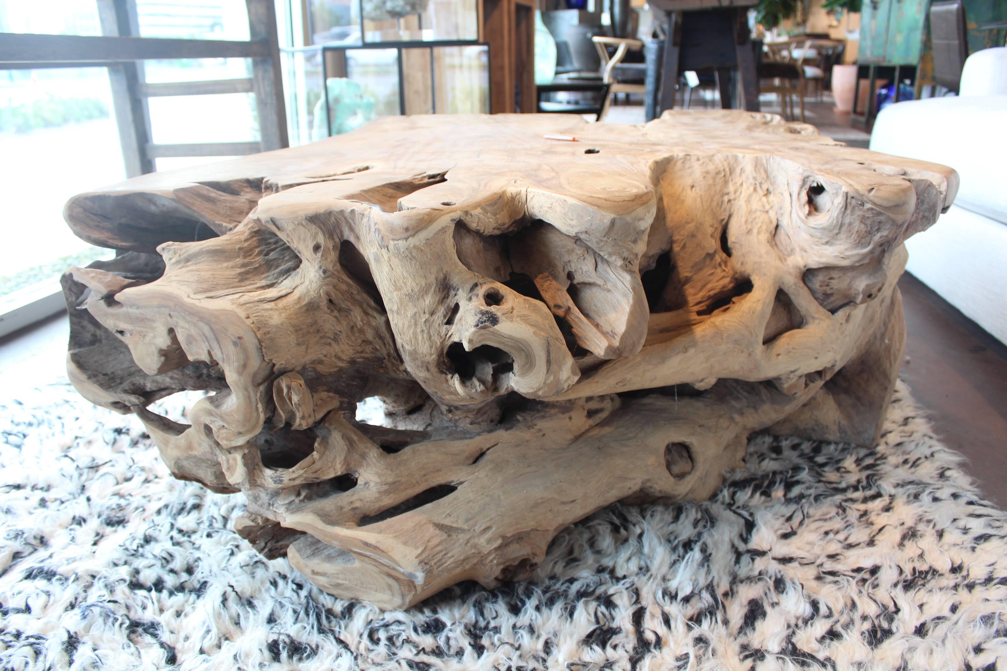 Organic Modern Sculpted Teak Root Wood Coffee Table