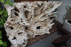 Organic Bleached Teak Console / Sculptural Expression