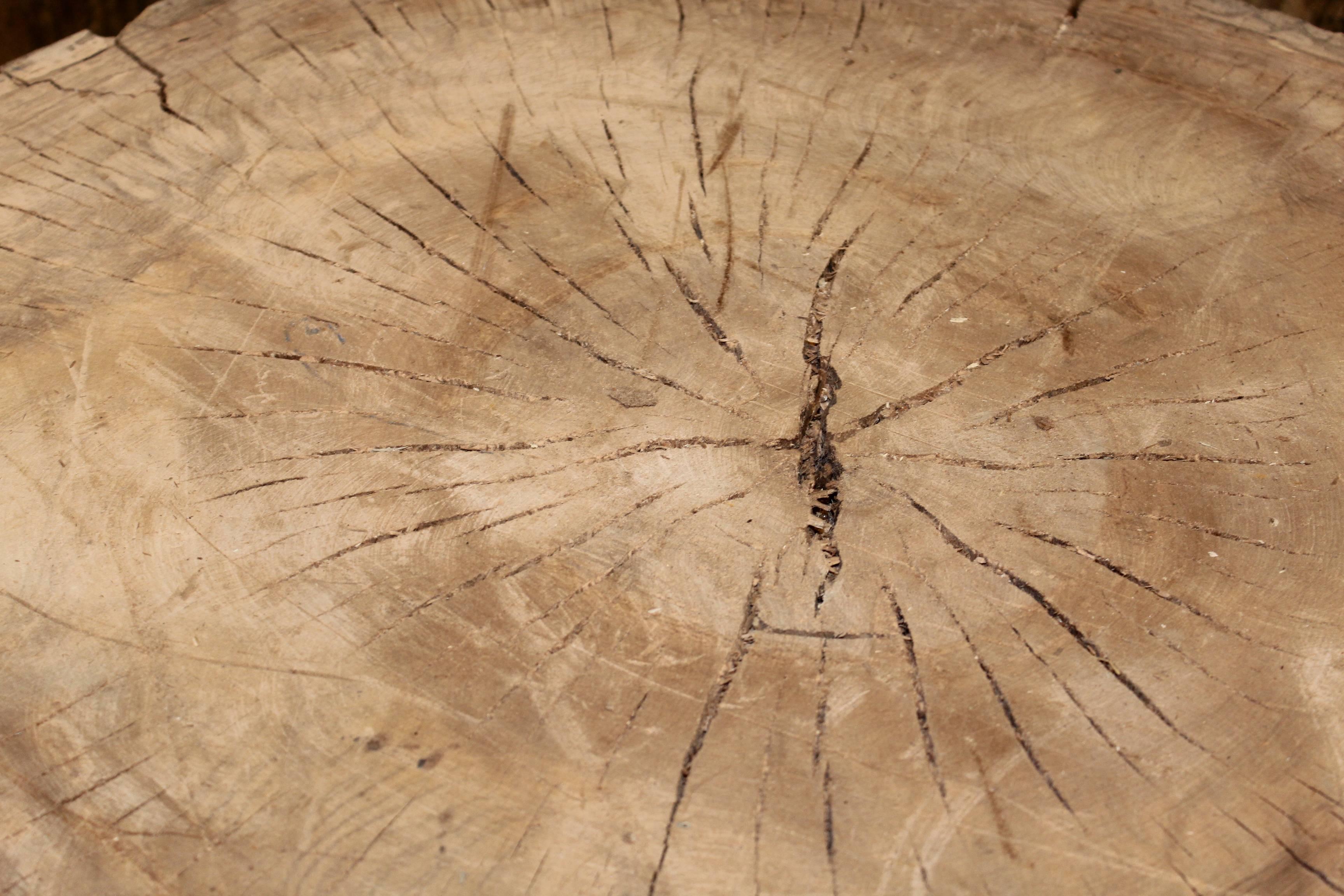 Contemporary Oak Section as End Table from the Bass Farm in North Carolina