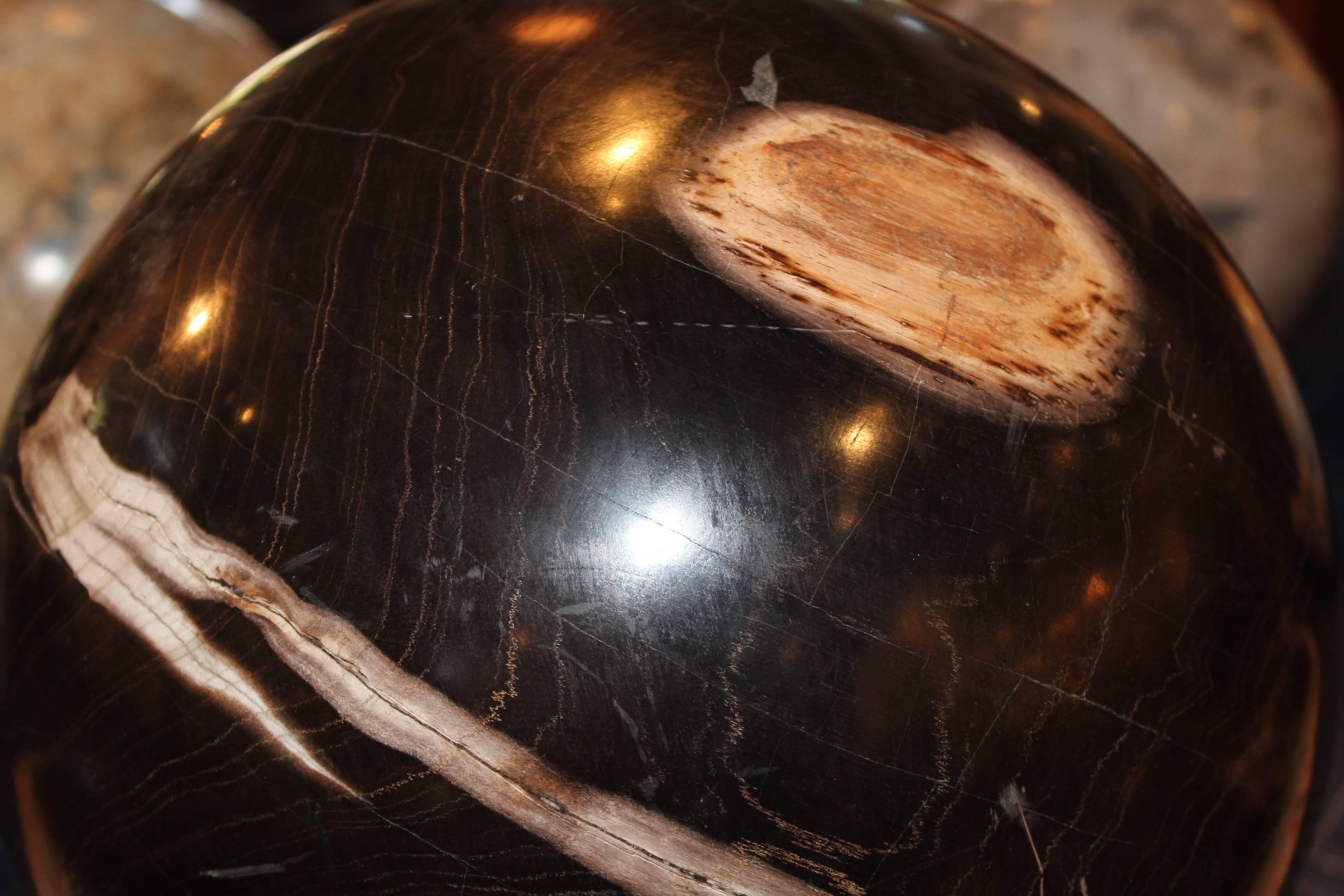 Modern Extra Large Petrified Wood Sphere