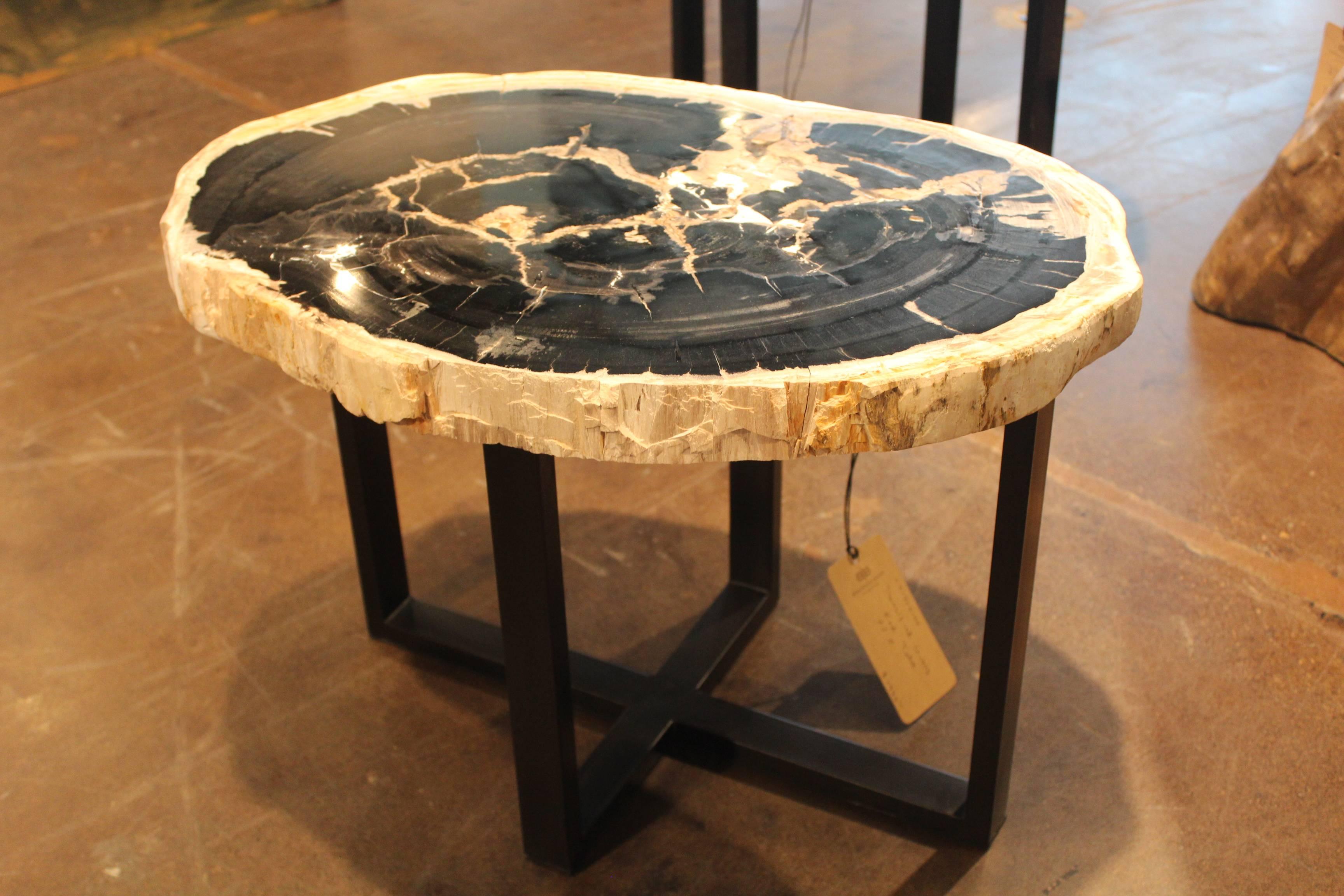 Petrified wood end table.
