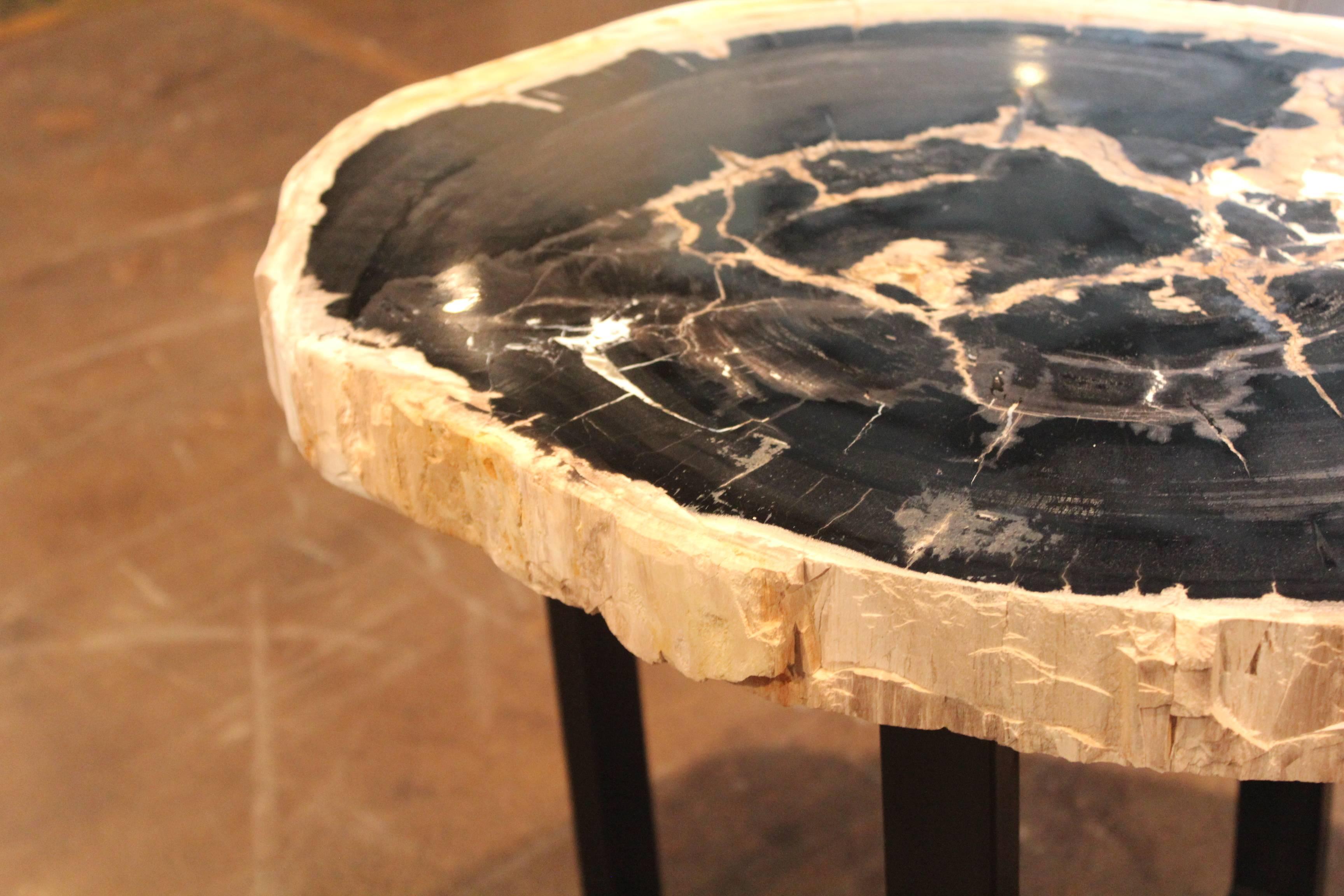 Organic Modern Petrified Wood End Table