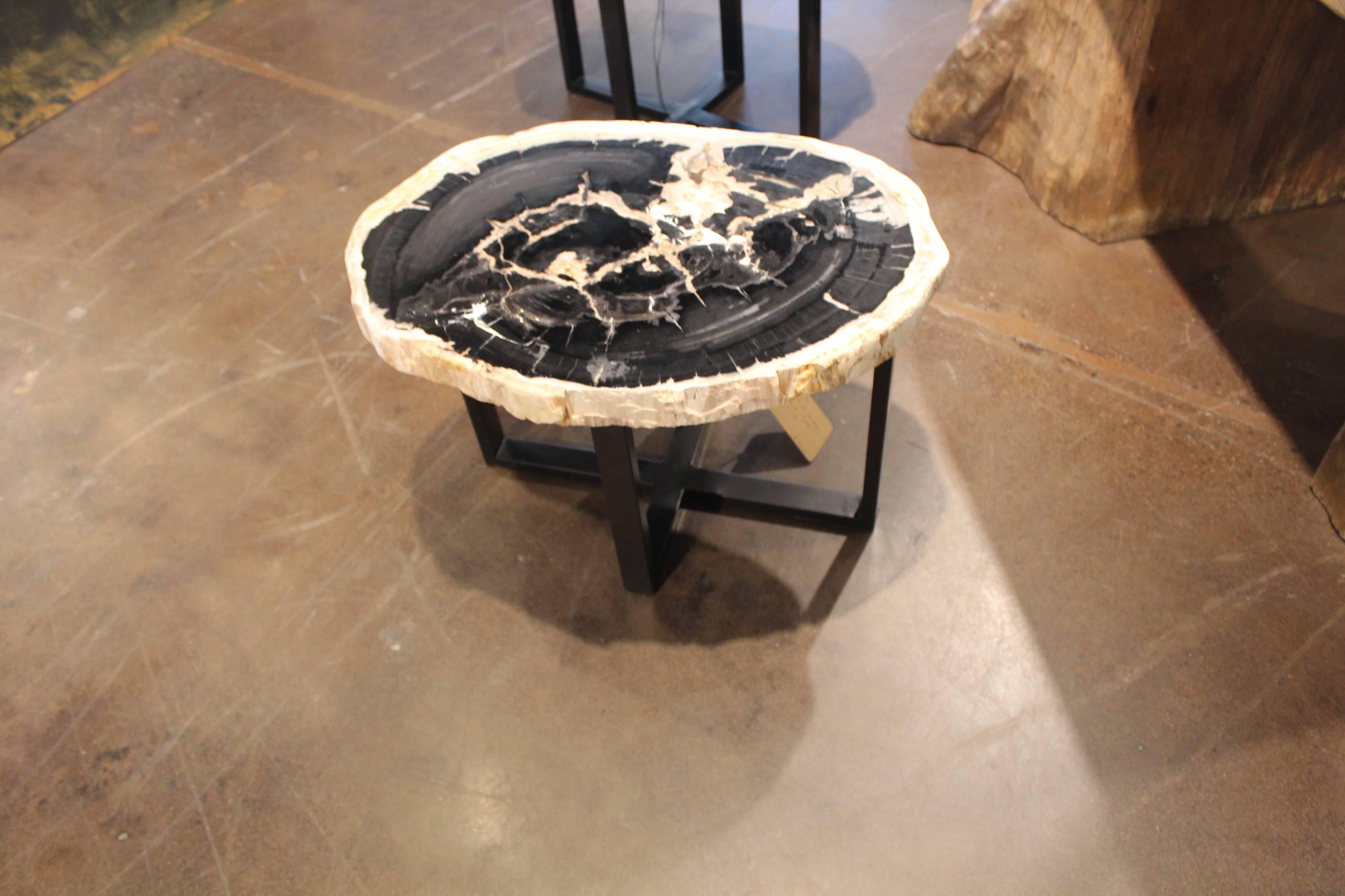 Southeast Asian Petrified Wood End Table