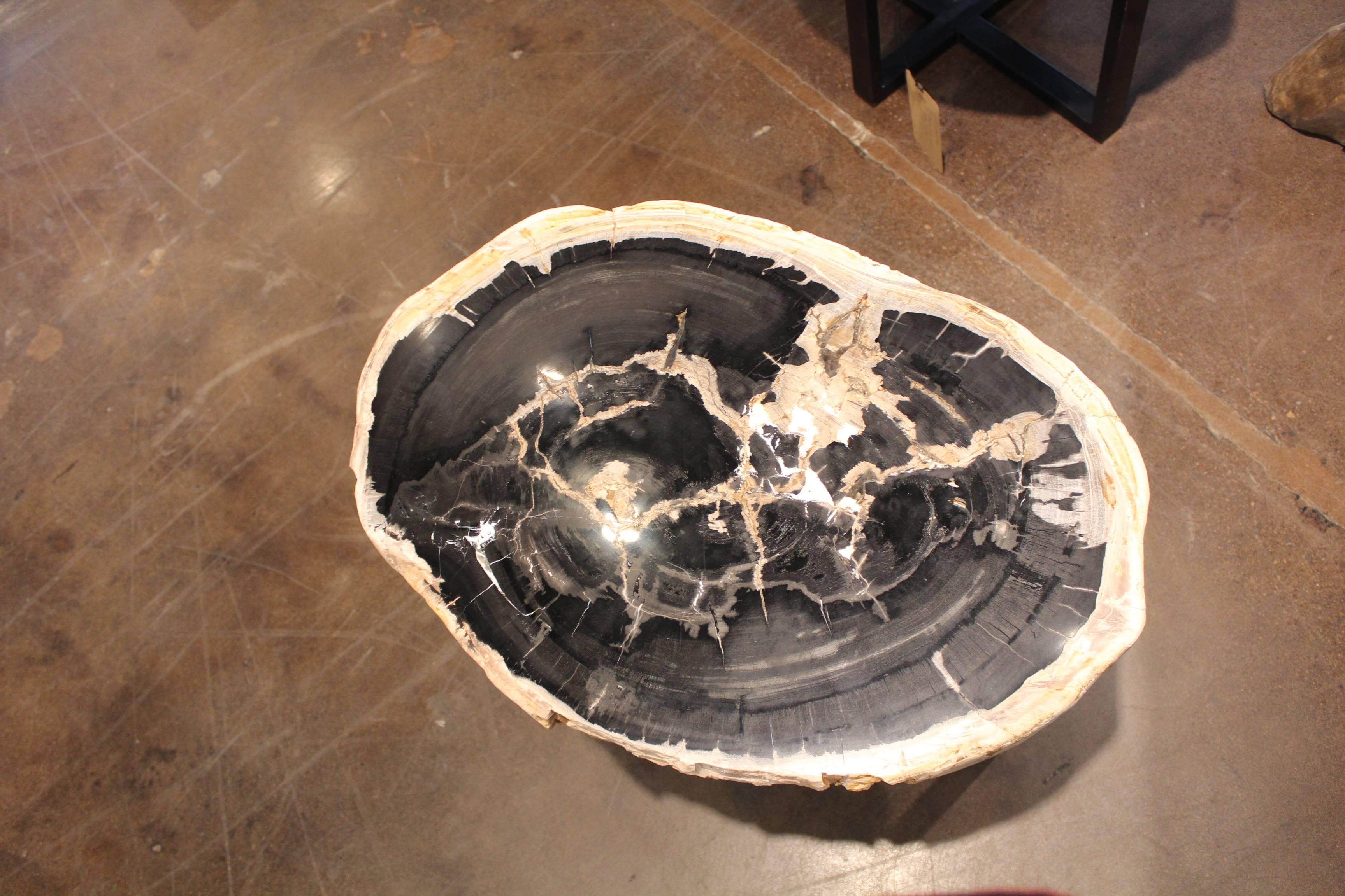 Contemporary Petrified Wood End Table