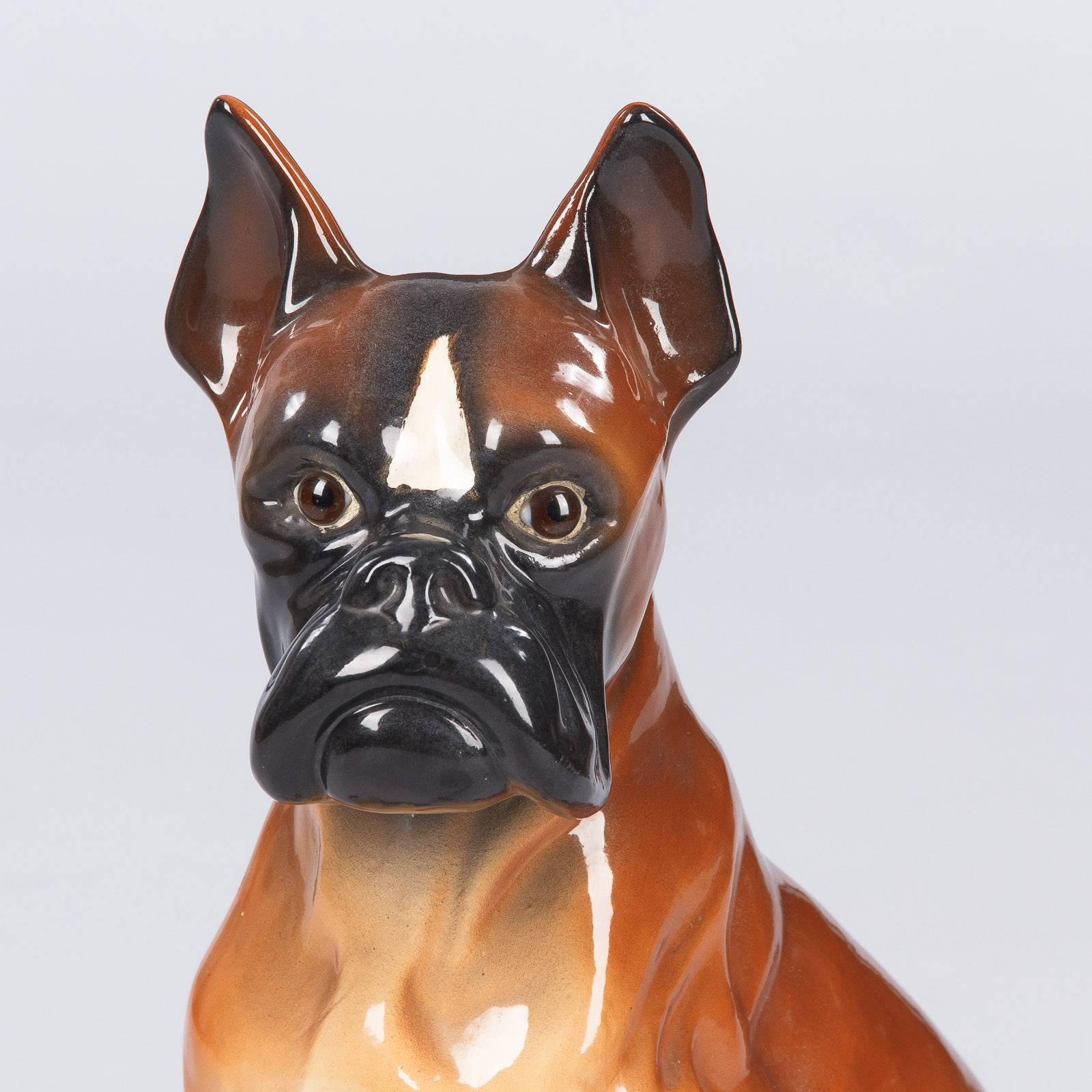 French Ceramic Boxer Dog Sculpture, 1950s In Good Condition In Austin, TX
