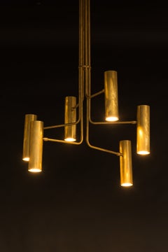 Ottone naturale Chandlier decorativo contemporaneo-moderno realizzato a mano in Italia