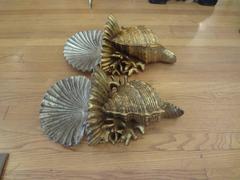 Pair of Venetian Grotto Giltwood Wall Brackets