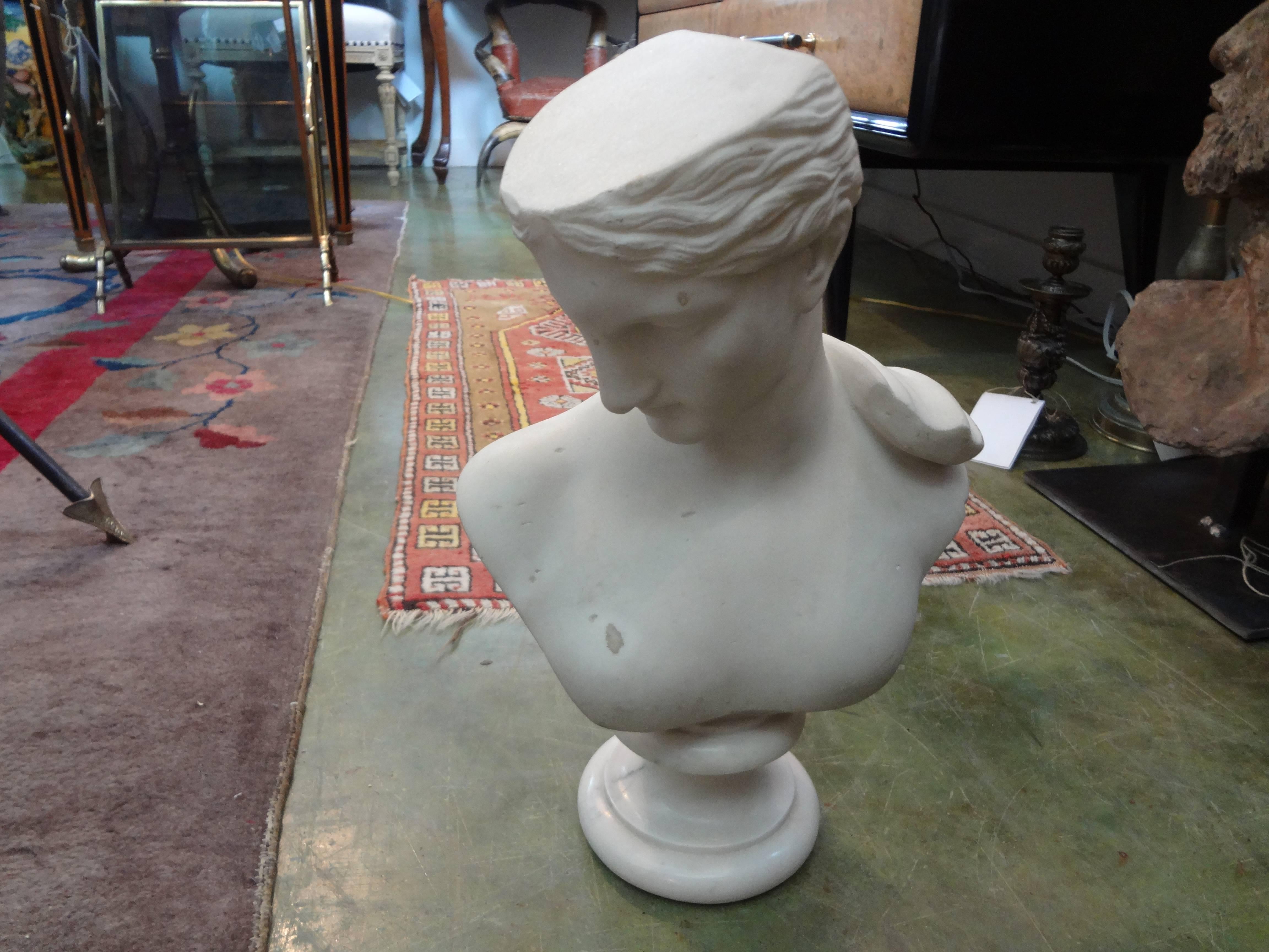 Italian Marble Bust of Psyche of Capua or Venus 1