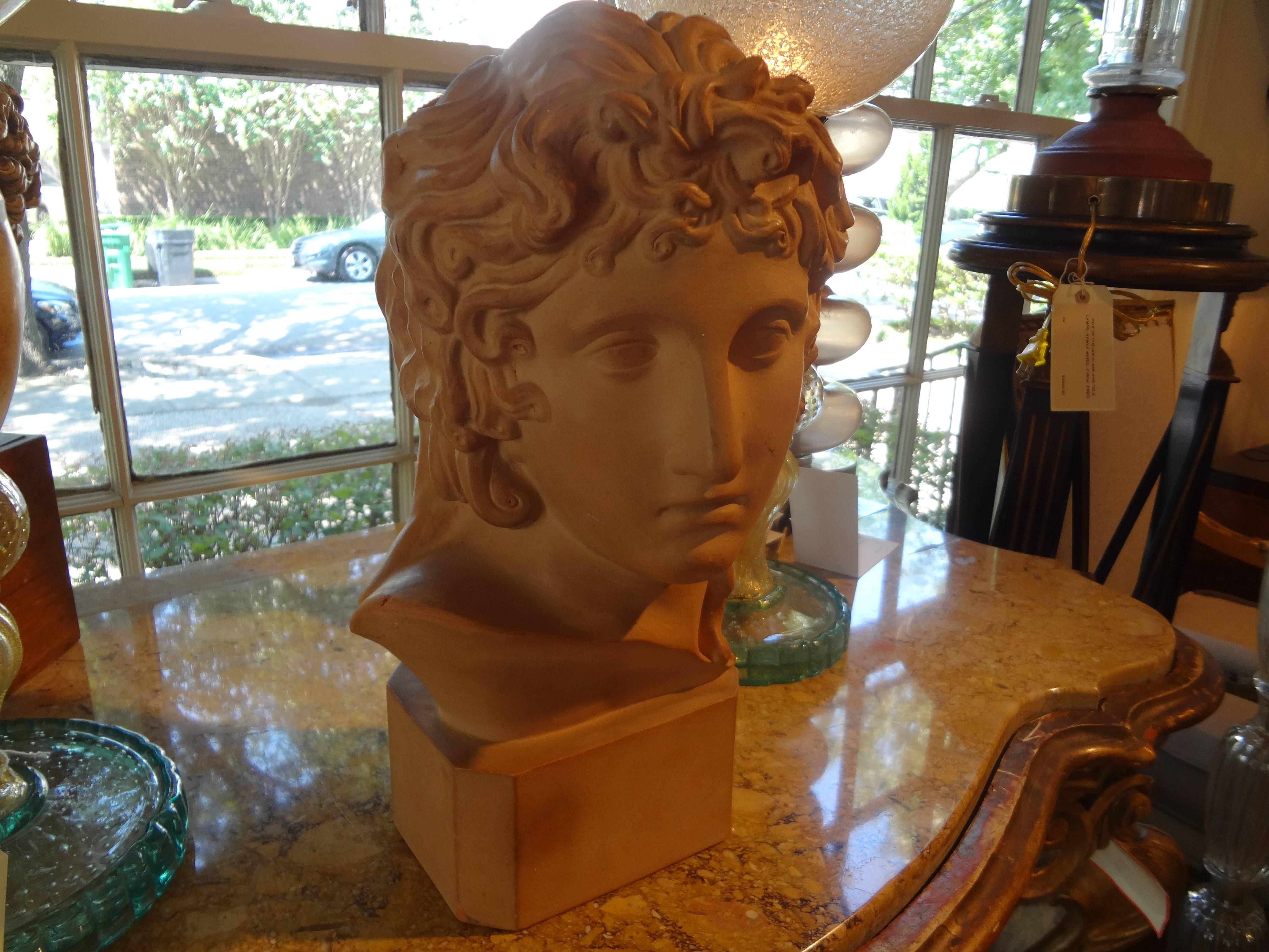 Beautifully detailed French terracotta bust sculpture of a classical Greek, signed R. D'Arly, Paris, circa 1920.