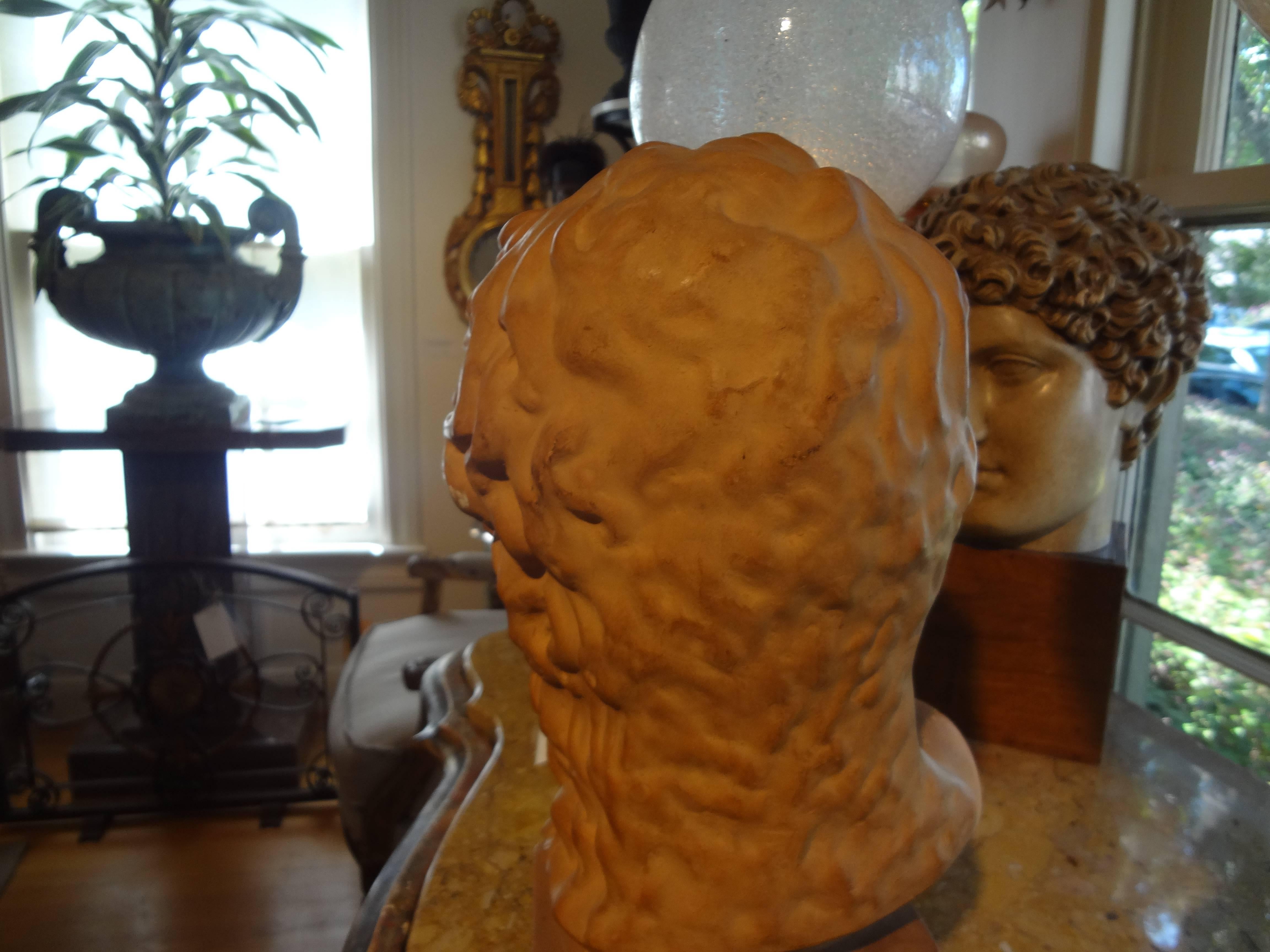 Classical Greek French Classical Terracotta Bust Signed R. D'arly, Paris