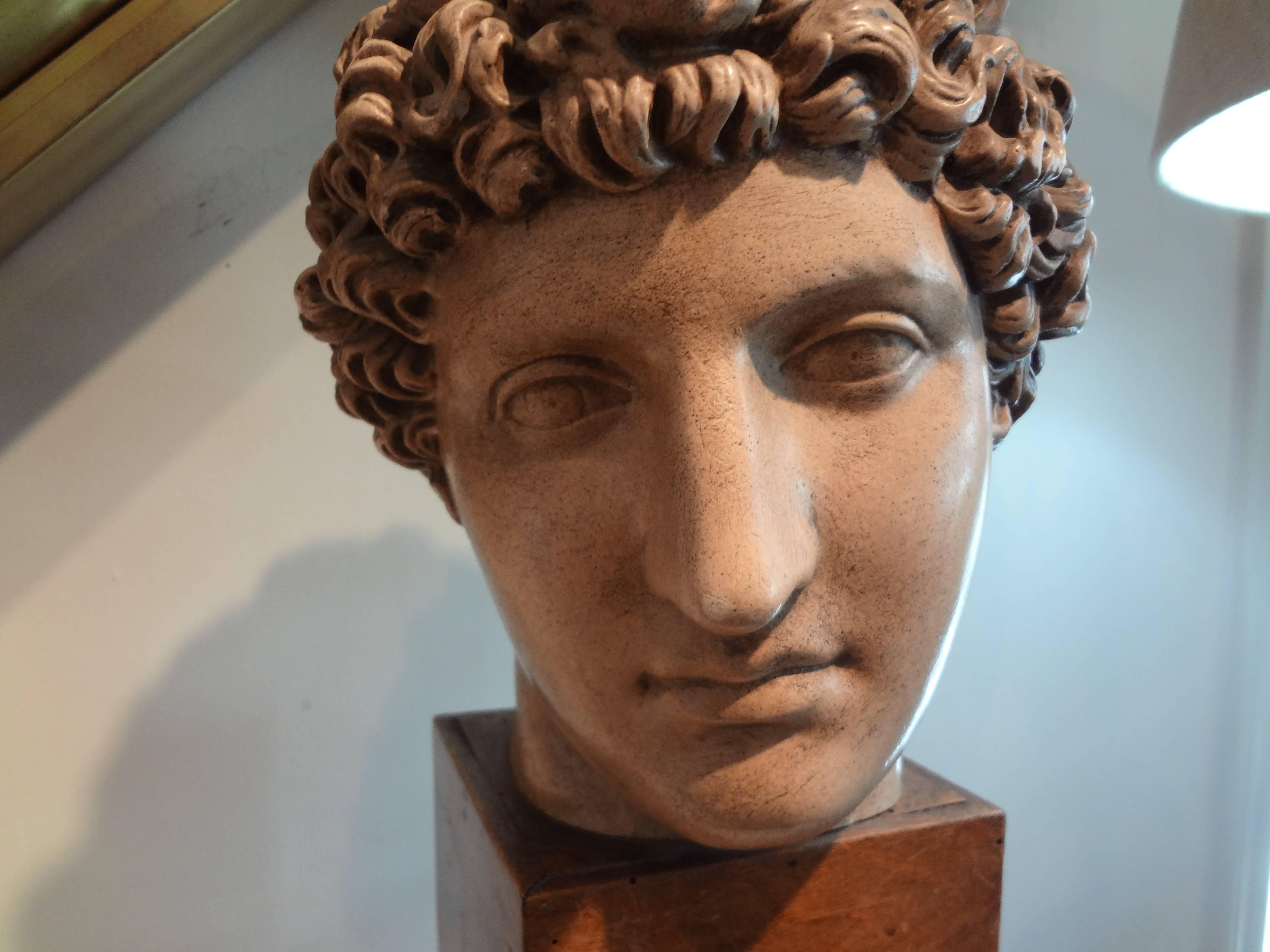Italian Patinated Terra Cotta Bust or Sculpture of a Classical Roman on a Wood Base, Circa 1920, Possibly A Grand Tour Piece.  Well Executed and Detailed.
