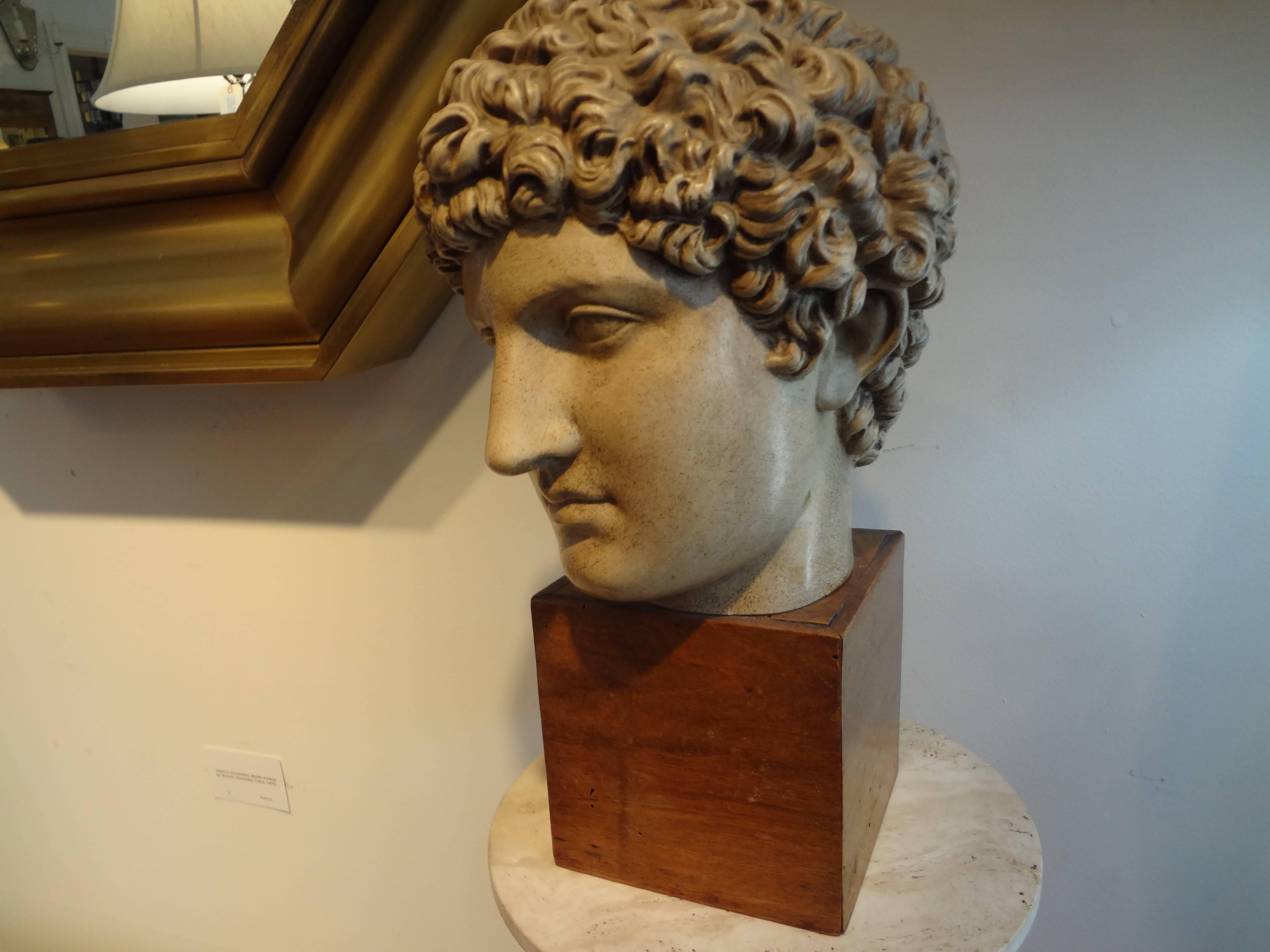 Italian Terra Cotta Classical Bust In Good Condition In Houston, TX