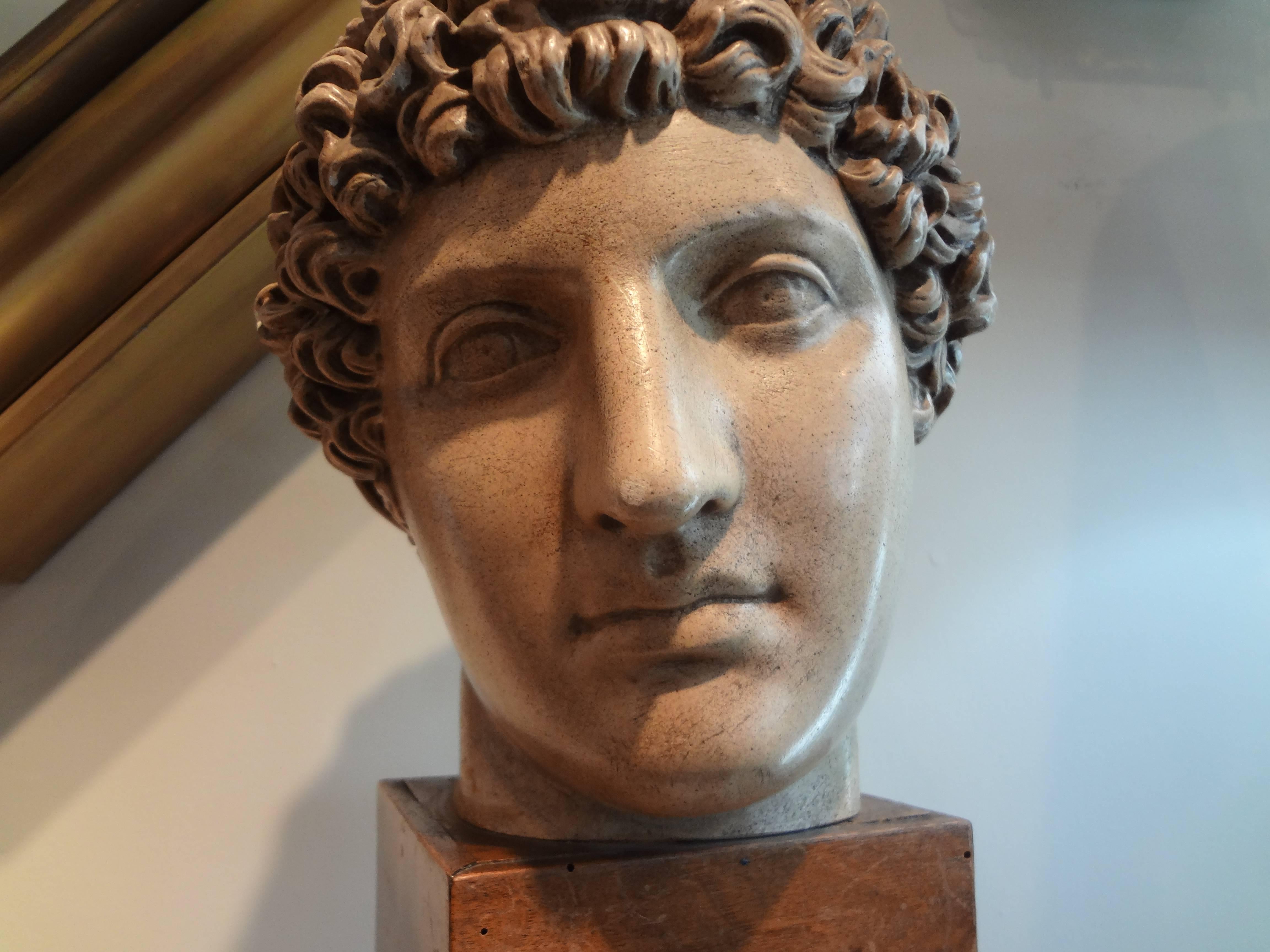 Italian Terra Cotta Classical Bust 2