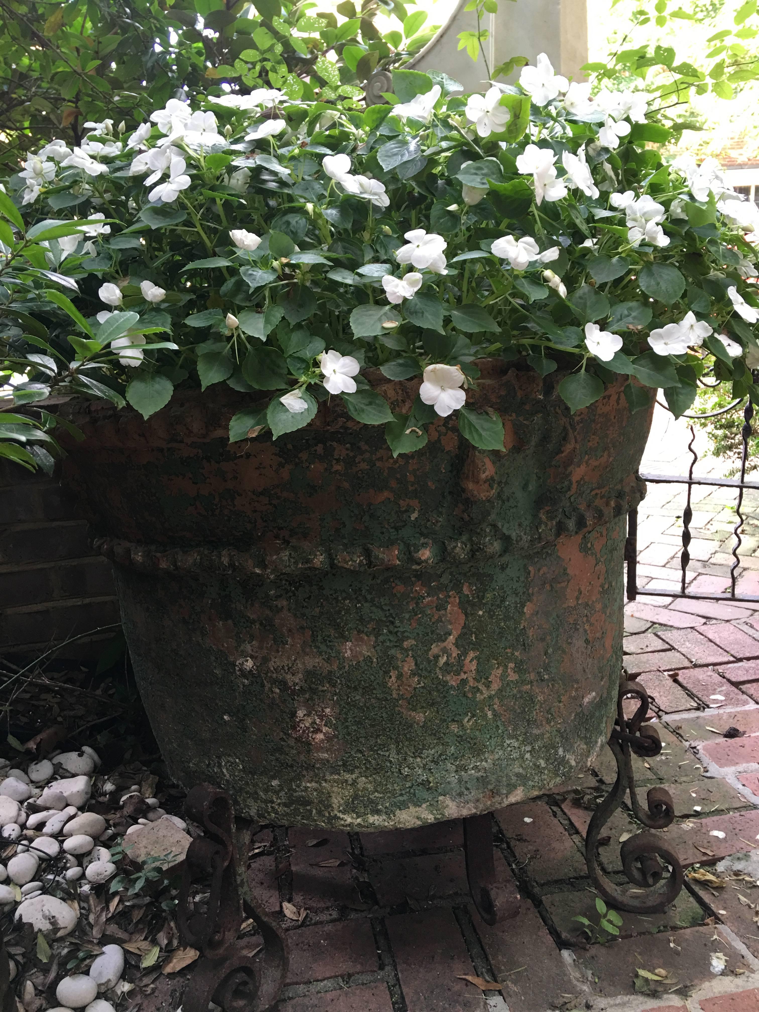 Large Painted Terra Cotta Planter with a Wrought Iron Stand 2