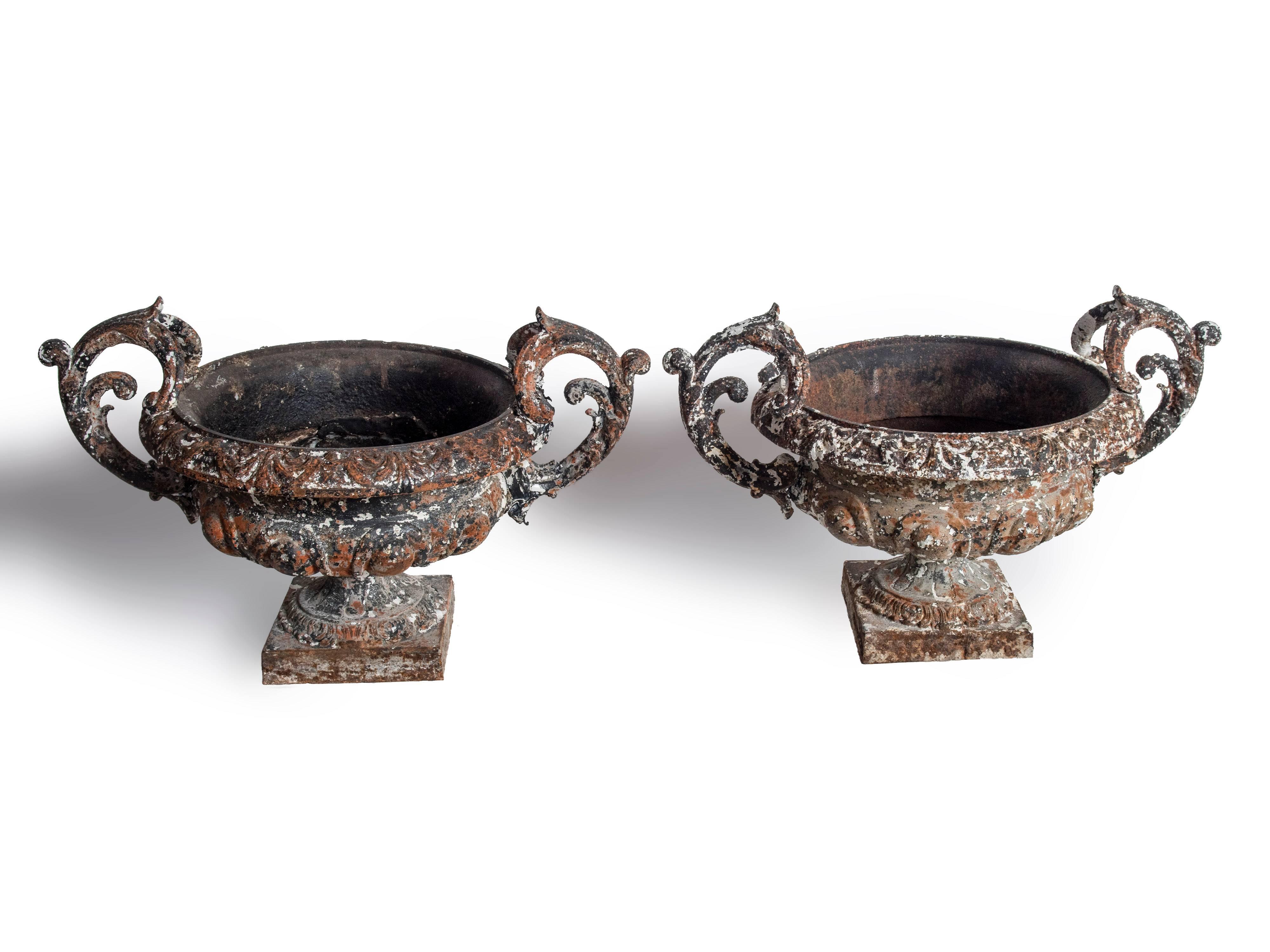 Pair of Cast Iron Urns In Good Condition In Washington, DC