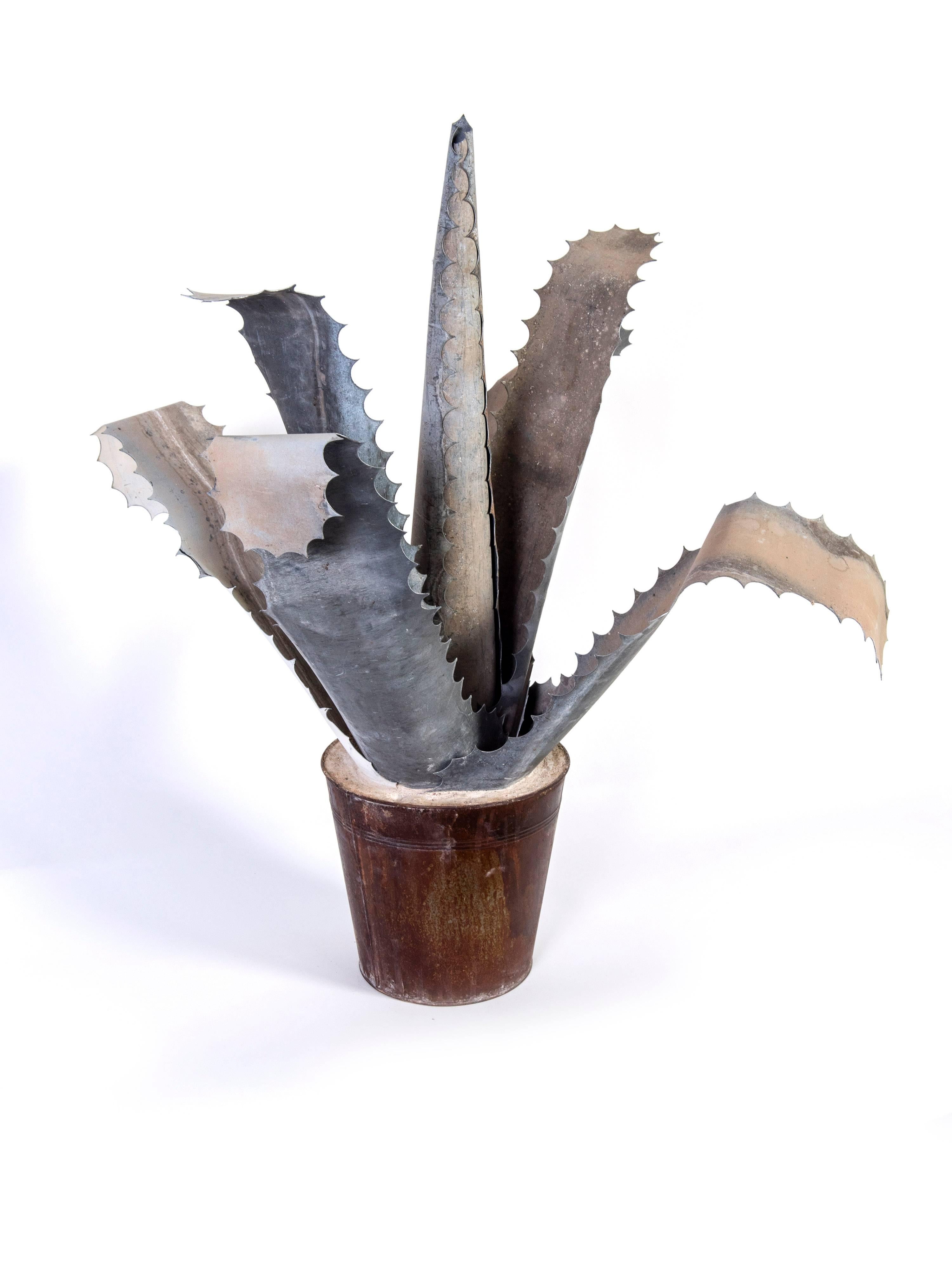 These are a very unusual and very decorative agave.
The  leave are made of Zinc sitting in a tin bucket filled with stone.
A rare find from a home in Paris.