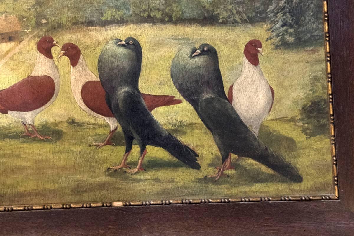 Early 20th Century Provencal Parading Pigeons Oil Painting In Good Condition In Washington, DC