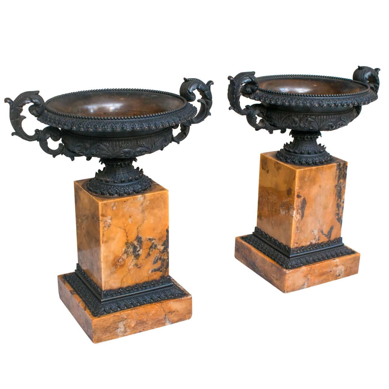Pair of Bronze Tazzas on Marble Plinths