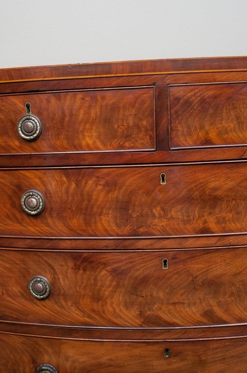 Georgian Bow-Front Chest with Exceptional Figured Mahogany 2