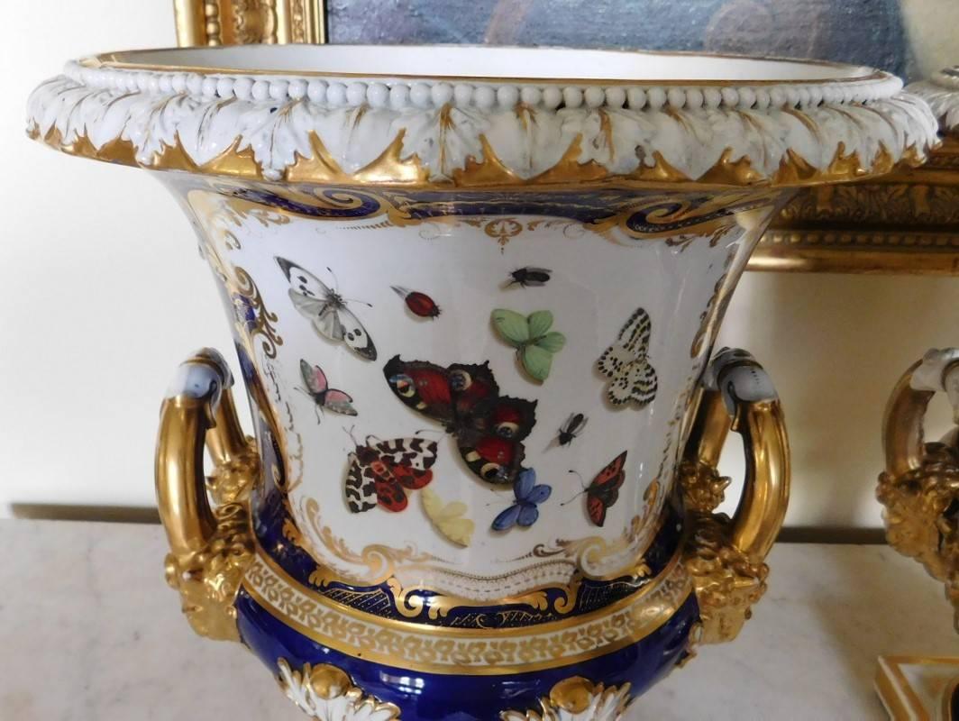 Regency Pair of Large Bloor Derby Campagna-Form Urns with Butterfly Panels