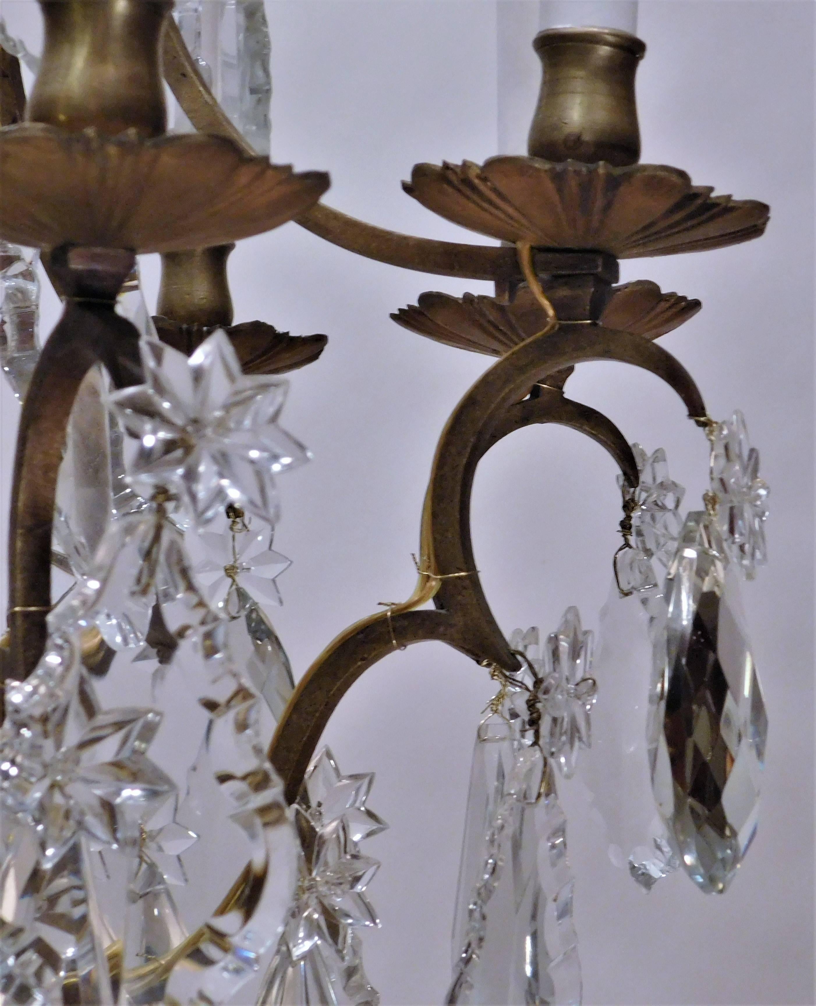 Louis XV Style Eight-Light Bronze and Crystal Chandelier, France, circa 1900 3