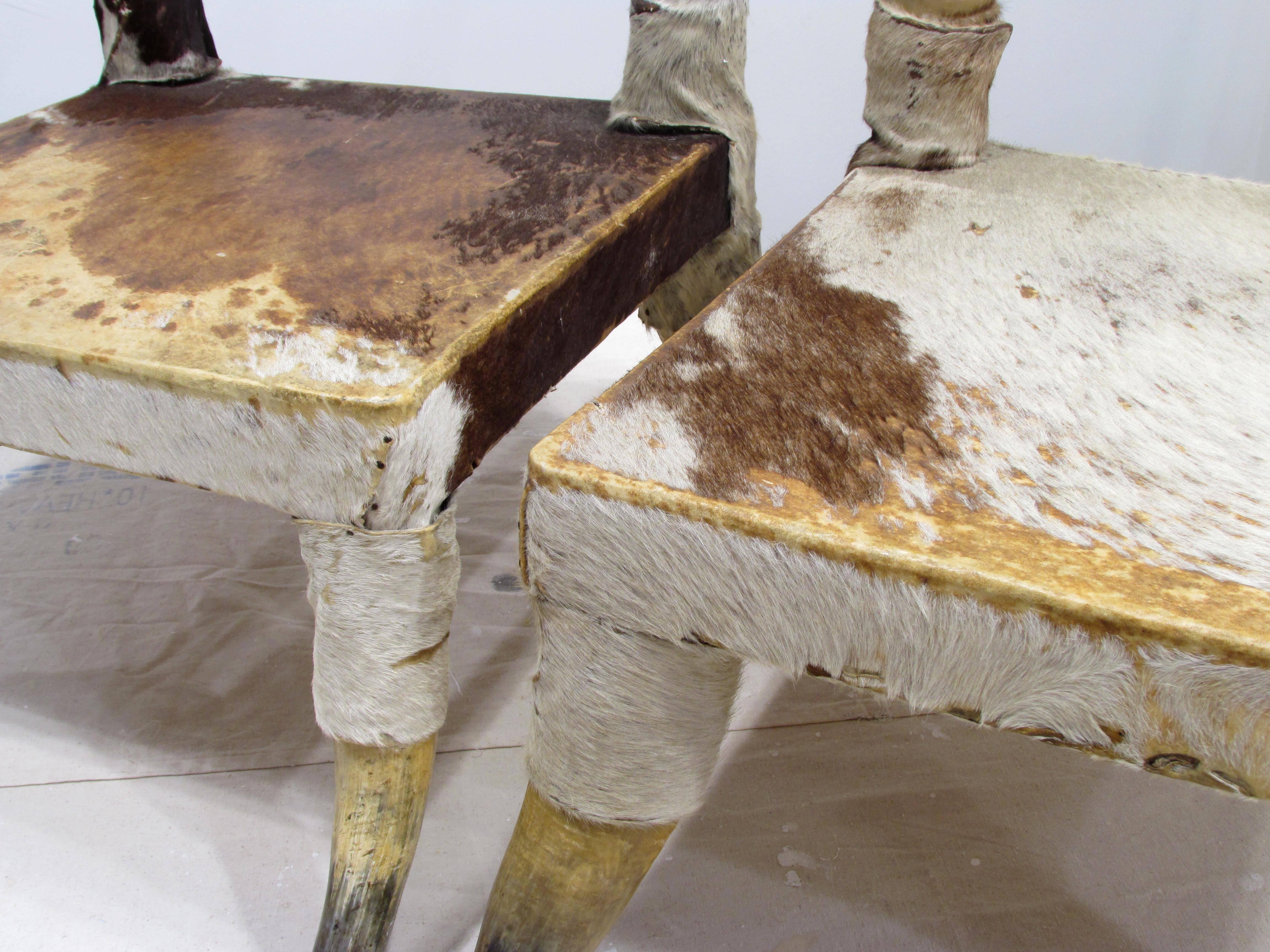 Cowhide Pair of Cow Horn and Hide Low Chairs