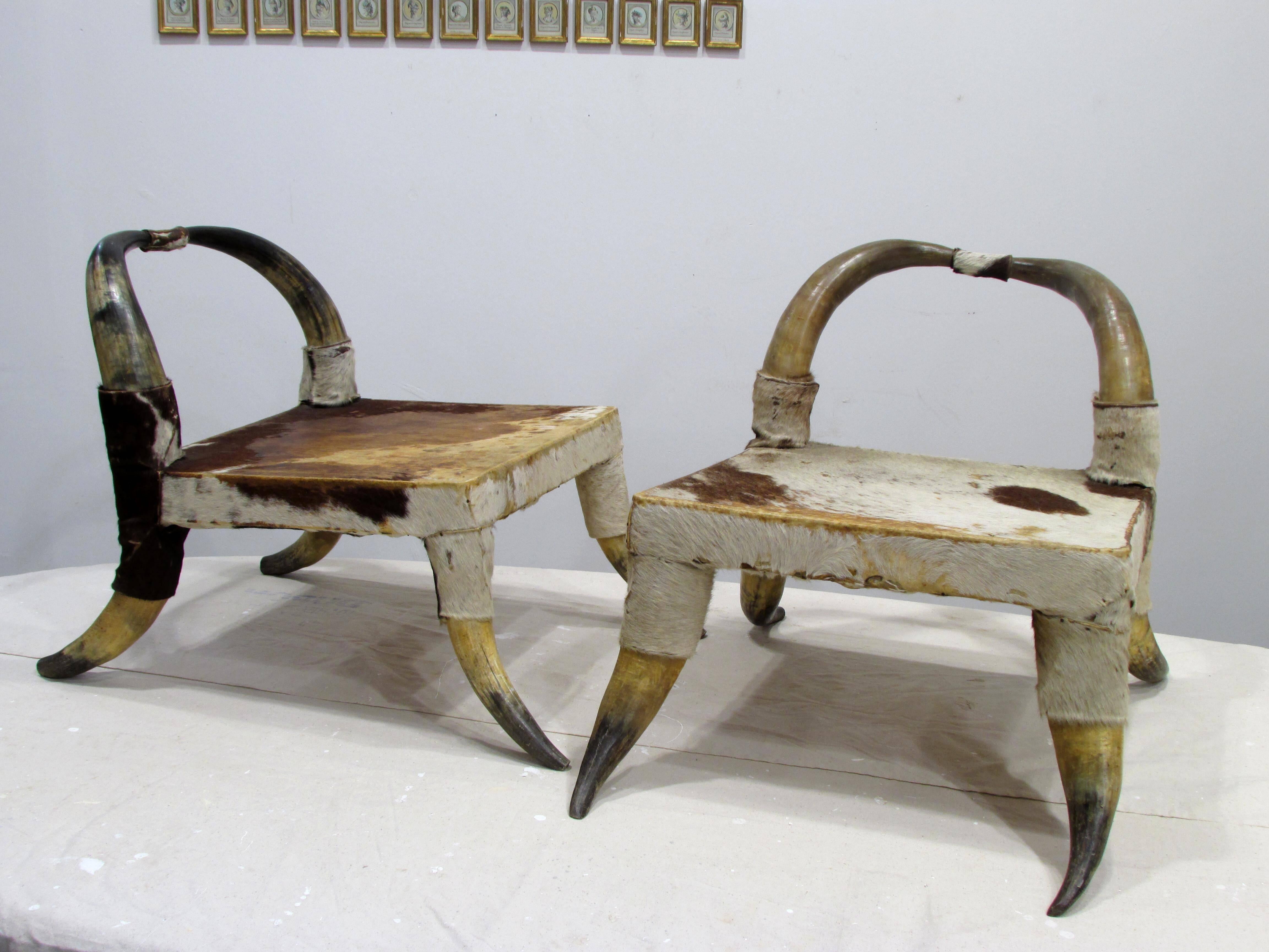 Beautiful and simple pair of low chairs made from cow horn and hide 