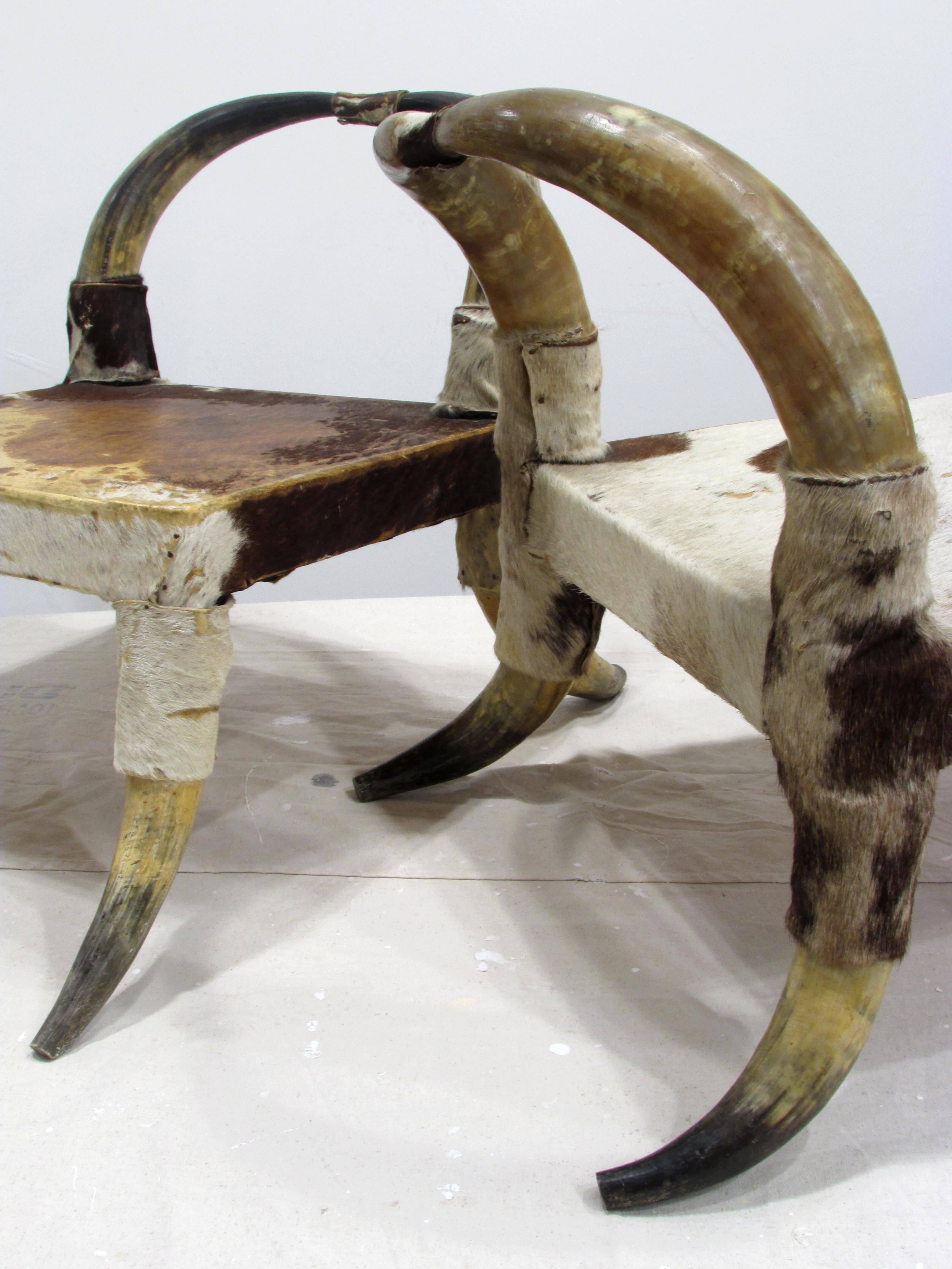 Pair of Cow Horn and Hide Low Chairs 2