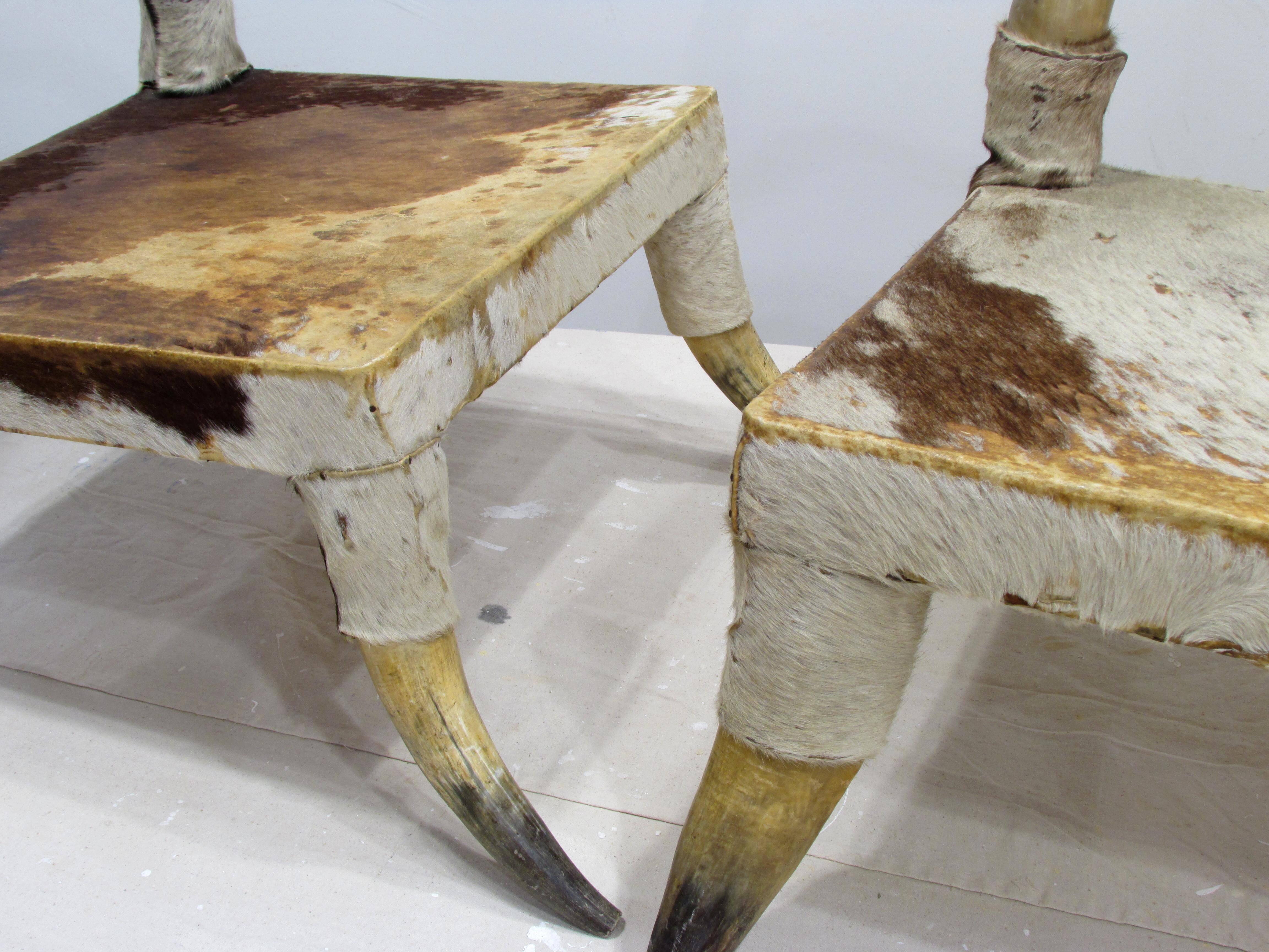 Pair of Cow Horn and Hide Low Chairs 3
