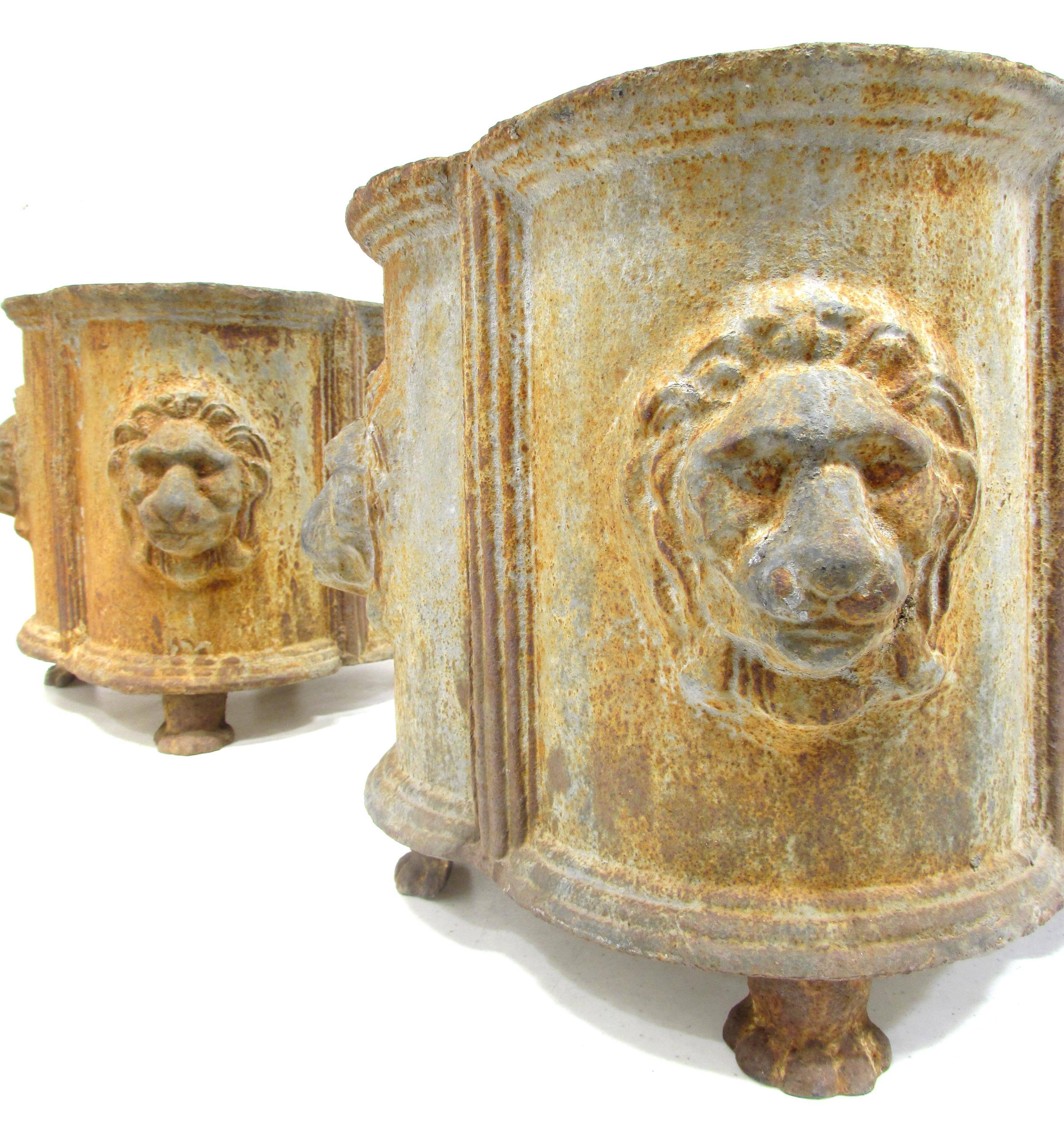 Pair Cast Iron Neoclassical Style Lion Mask Planters 3