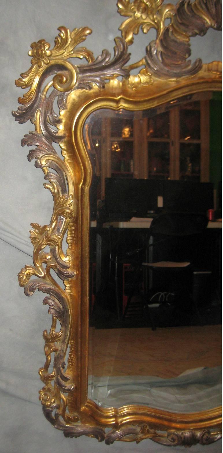 Pair of Italian Rococo Carved Gilt-wood Mirrors In Good Condition In Miami, FL
